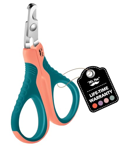 Peach/Teal