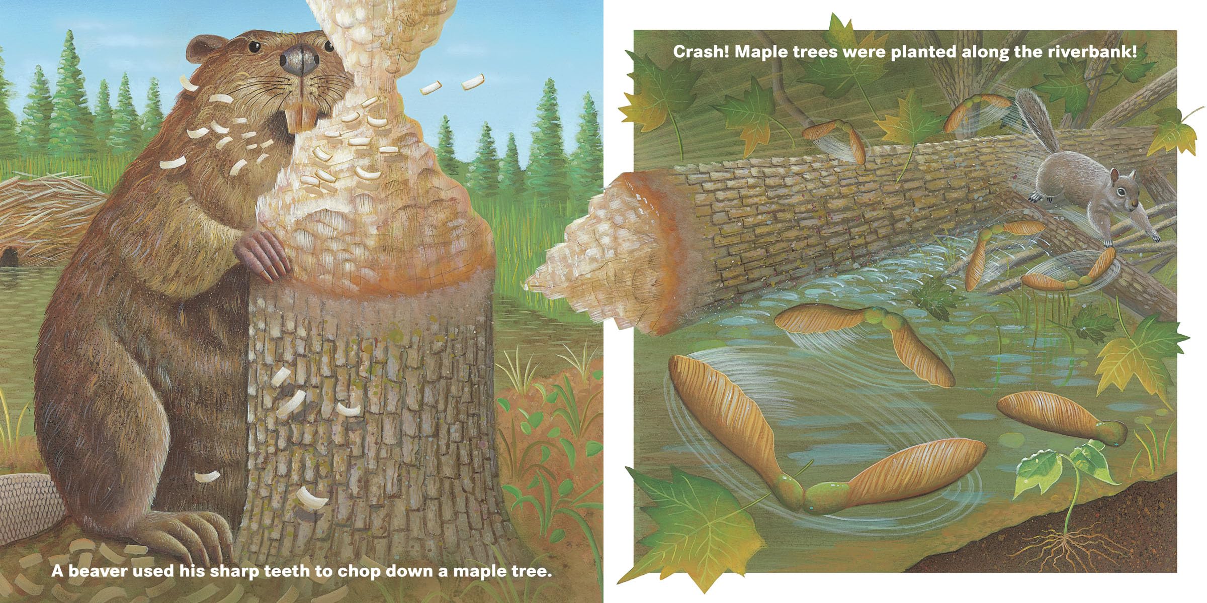 Who Will Plant a Tree? - Inspiring Children's Book About Nature & Conservation - Perfect for Earth Day, Classroom Reading & Environmental Education