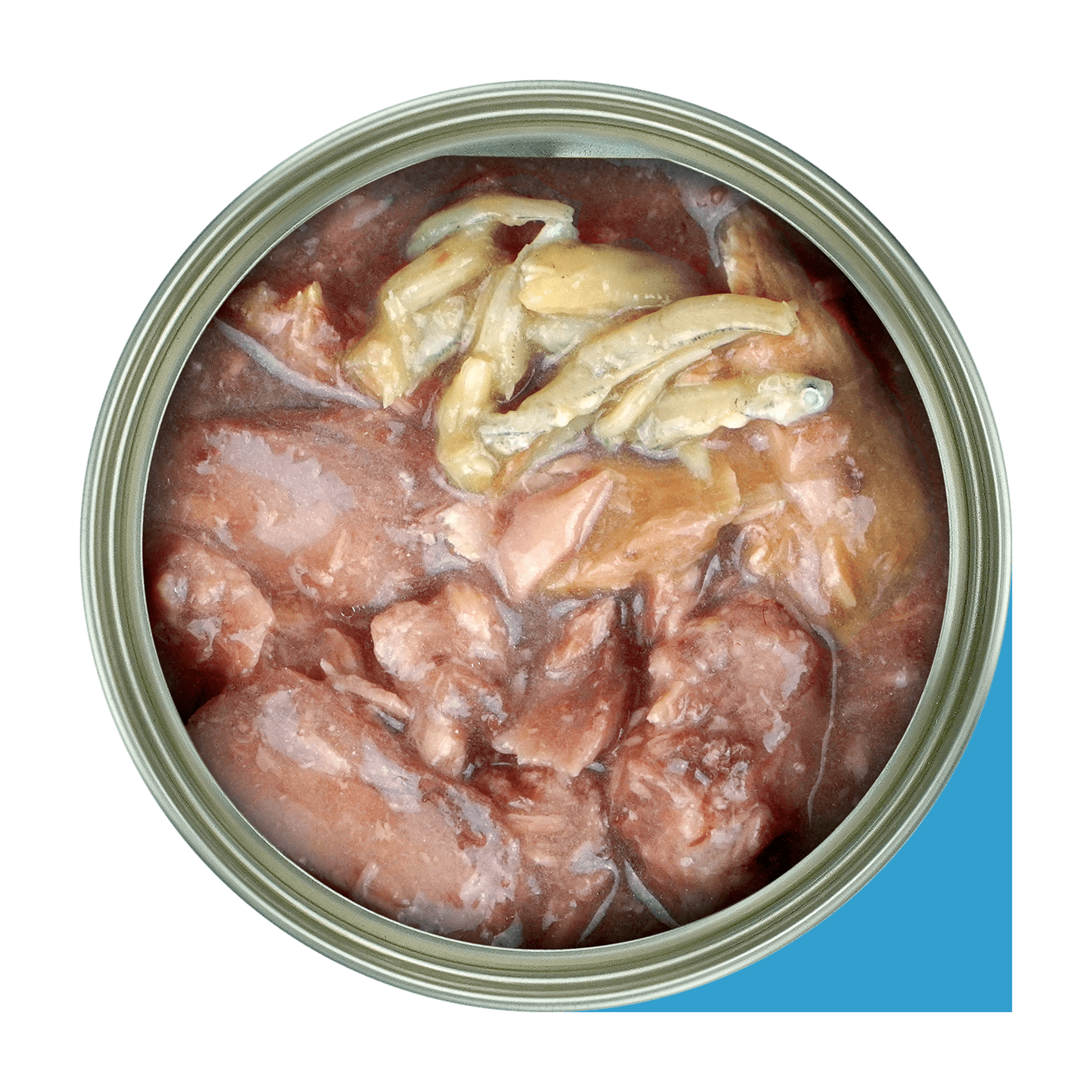 Premium Fussie Cat Black Label Tuna with Small Anchovies in Gravy - 80g Wet Cat Food for Adult Cats | High Protein Grain-Free Recipe | Perfect for Picky Eaters & Indoor Cats | Delicious Mealtime or Treat Option