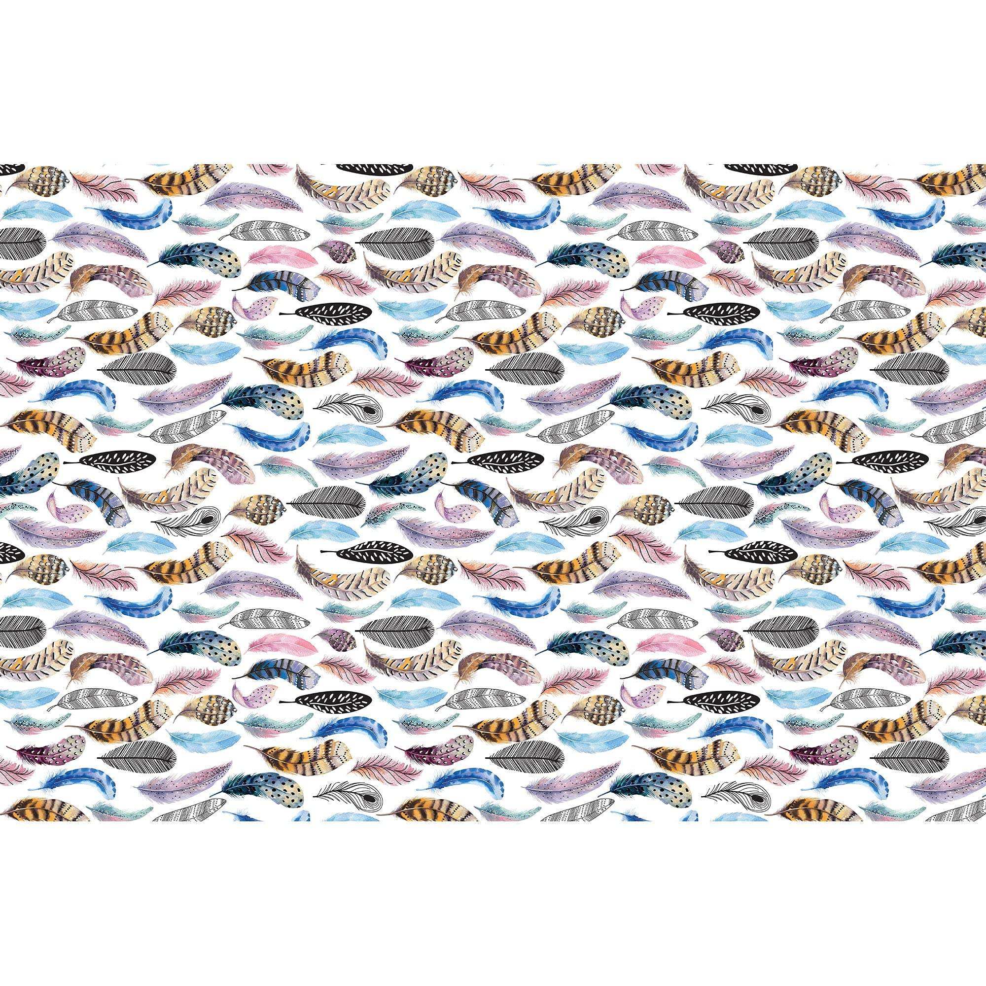 Jillson & Roberts 20x30 Inch Printed Gift Wrapping Tissue Paper - Featherly Design, 24 Folded Sheets for Birthday, Wedding & Holiday Present Wrapping
