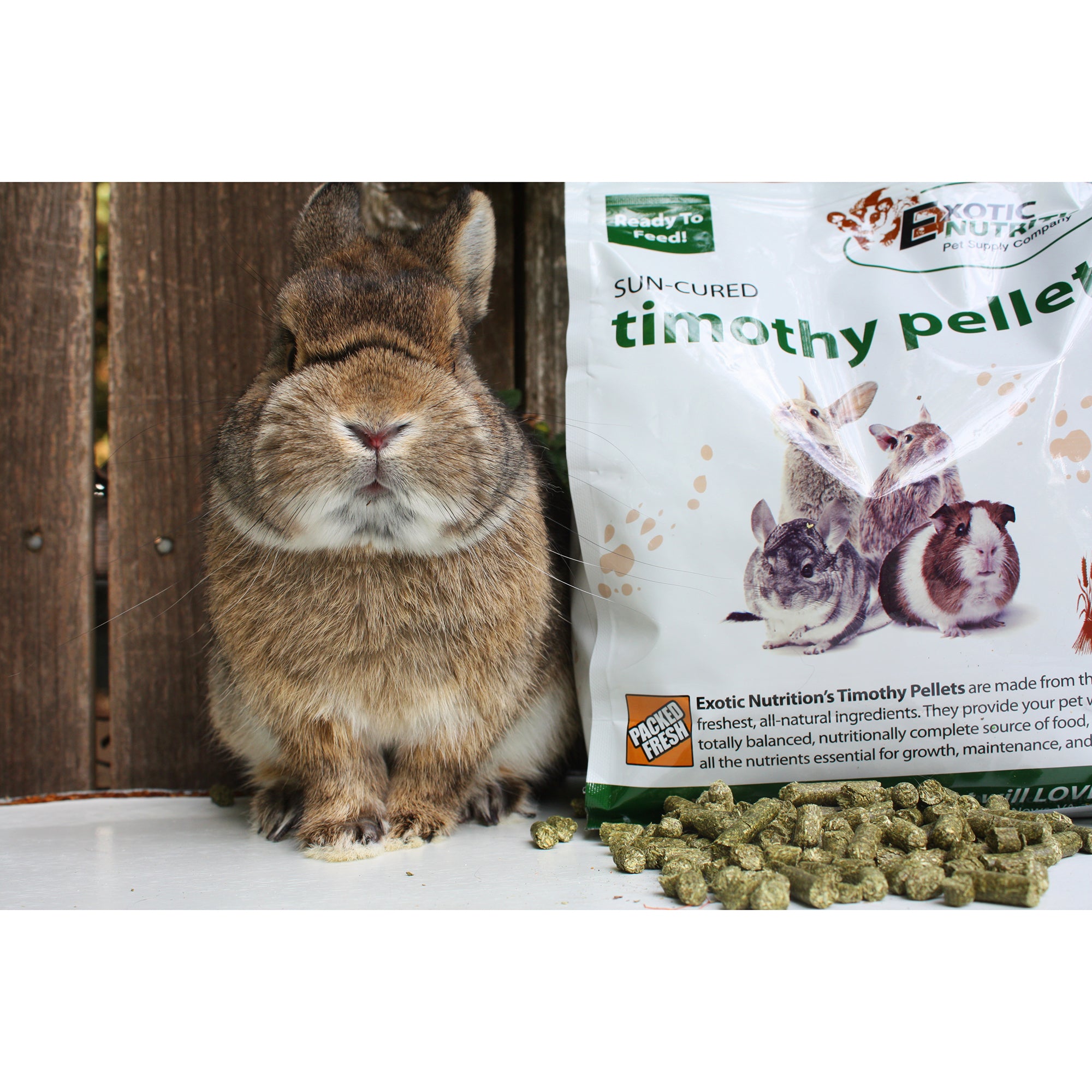 Premium Timothy Pellets Rabbit & Guinea Pig Food - High Fiber Hay Pellets for Small Pets | Ideal for Daily Feeding & Digestive Health Support
