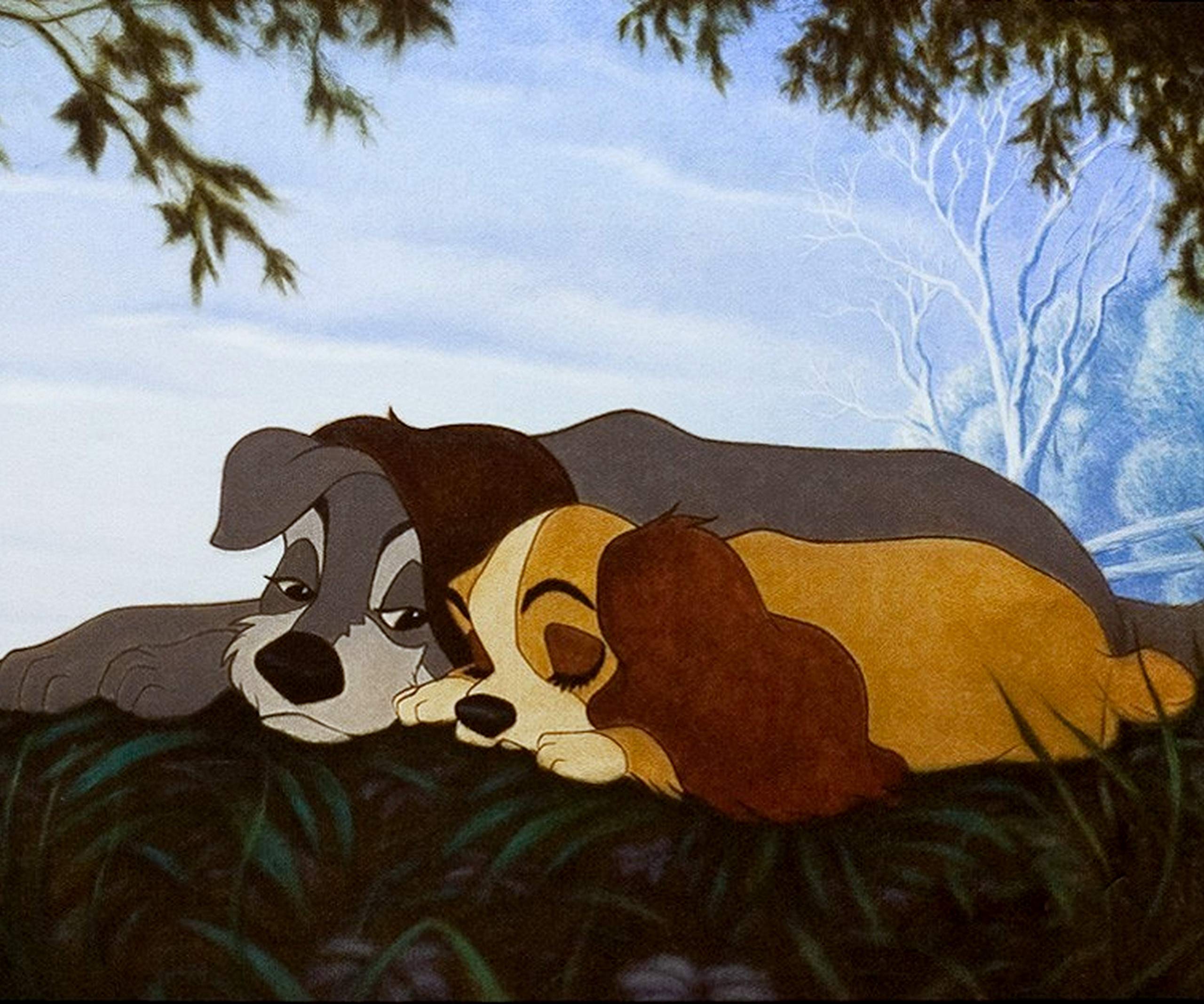 Lady and The Tramp Romantic Plush Fleece Throw Blanket 50x60 Inch - Soft Cozy Blanket for Lap, Sofa, Bed, Wall Decor & Cuddling - Perfect for Movie Nights, Couples Gift & Home Decor
