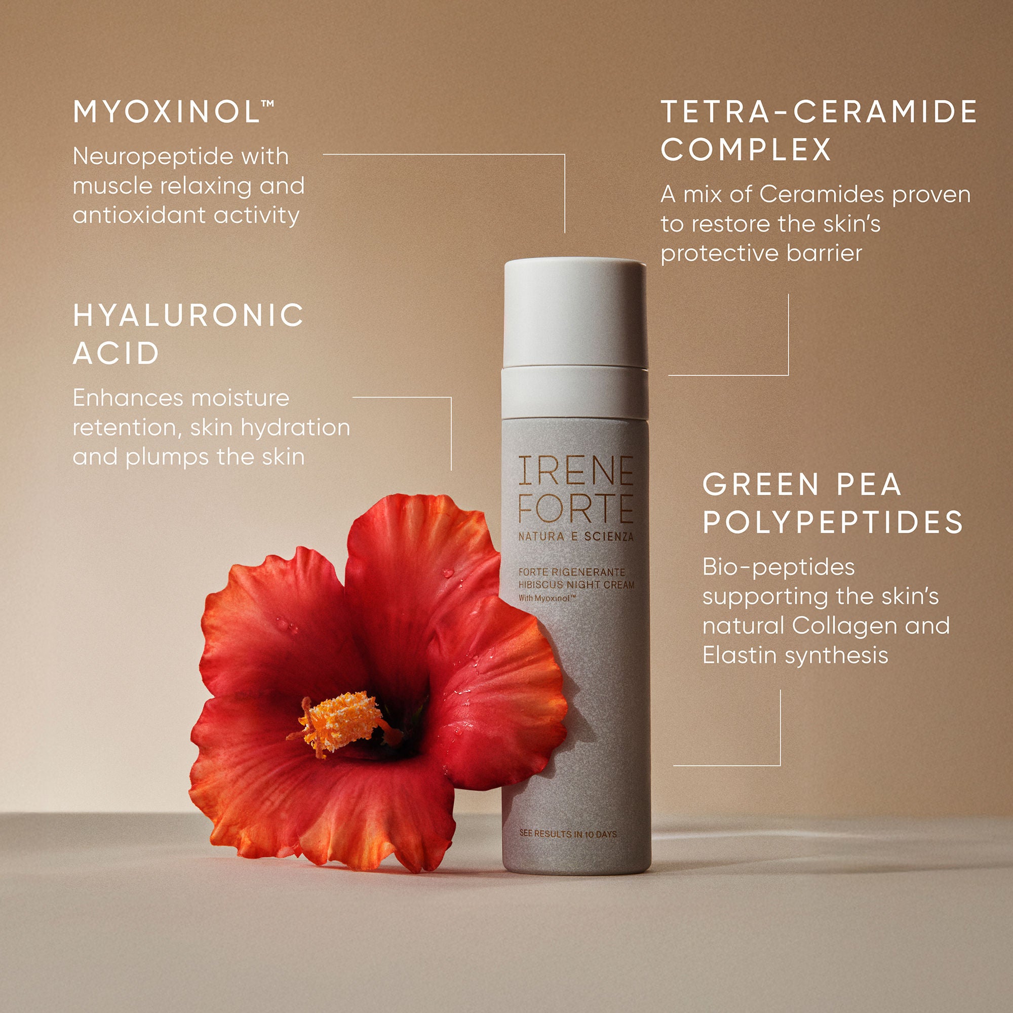 Best Hibiscus Night Cream with Myoxinol for Anti-Aging & Wrinkle Reduction - Perfect for Nighttime Skincare Routine