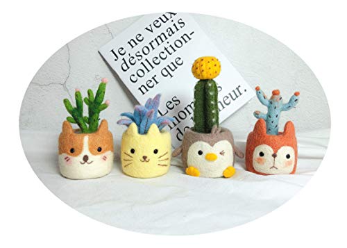 Plants