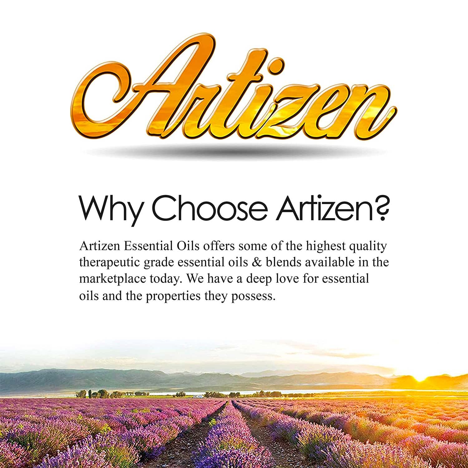 Artizen 4oz Helichrysum Essential Oil - 100% Pure Therapeutic Grade Aromatherapy Oil for Relaxation, Skin Care & Massage - 4 Fluid Ounces Bottle