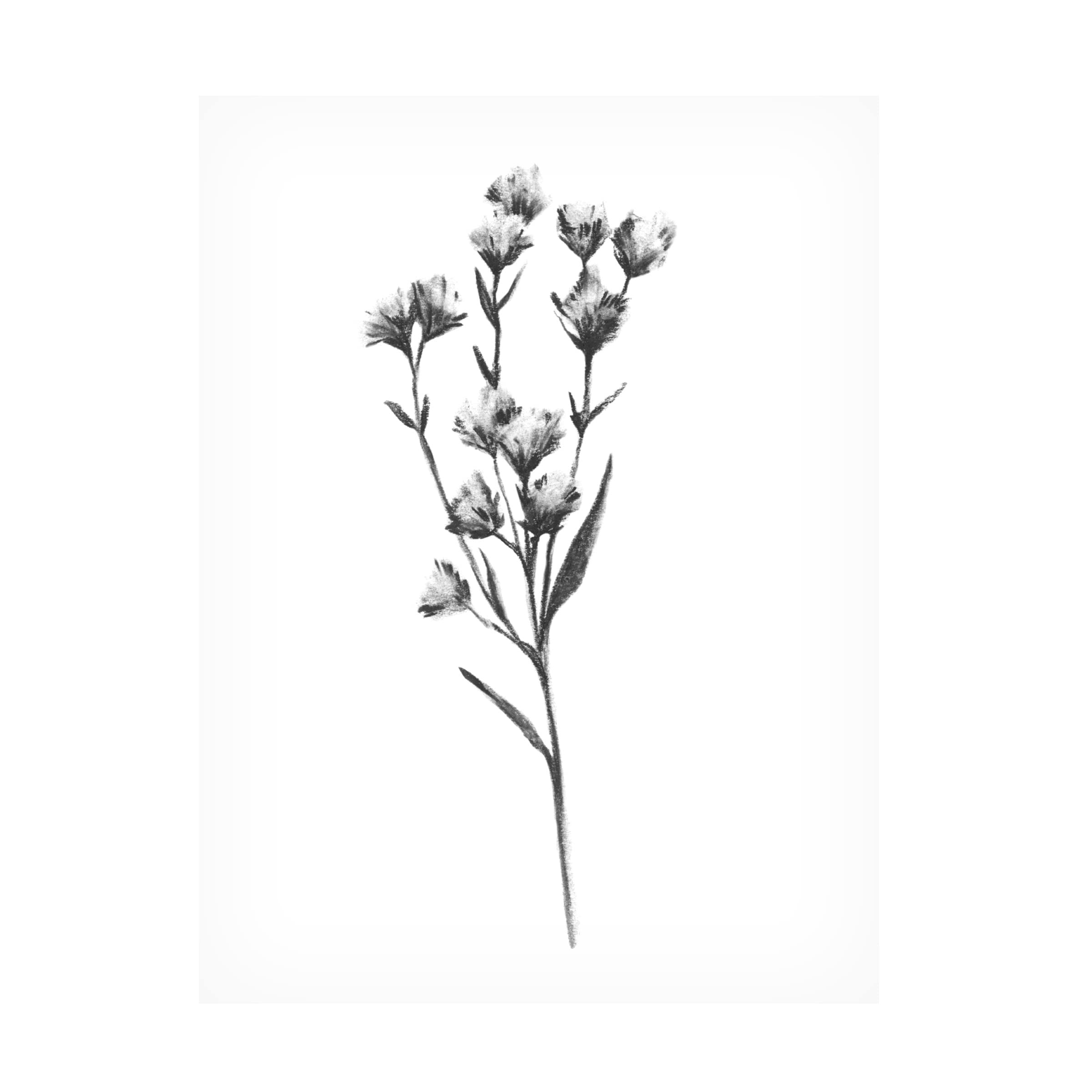 Emma Scarvey 'Wild Thistle III' Floral Canvas Wall Art Print - Modern Botanical Home Decor for Living Room, Bedroom & Office