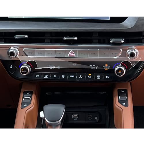 Telluride Ac Screen(2pcs Nano)
