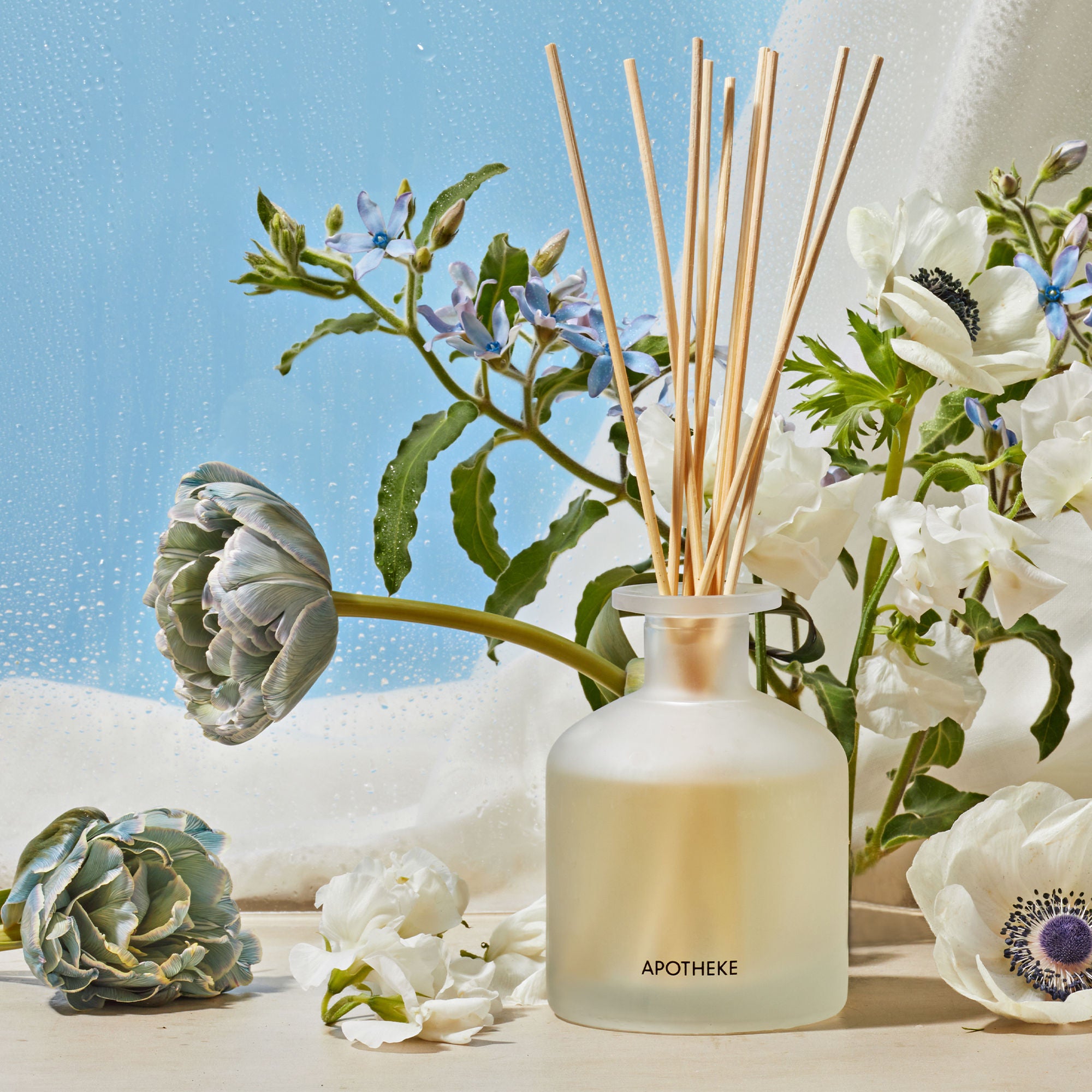 Premium Reed Diffuser Set with Natural Rattan Sticks - Aromatherapy Home Fragrance Oil for Living Room, Bedroom & Office - Relaxing Scented Decor Gift Idea