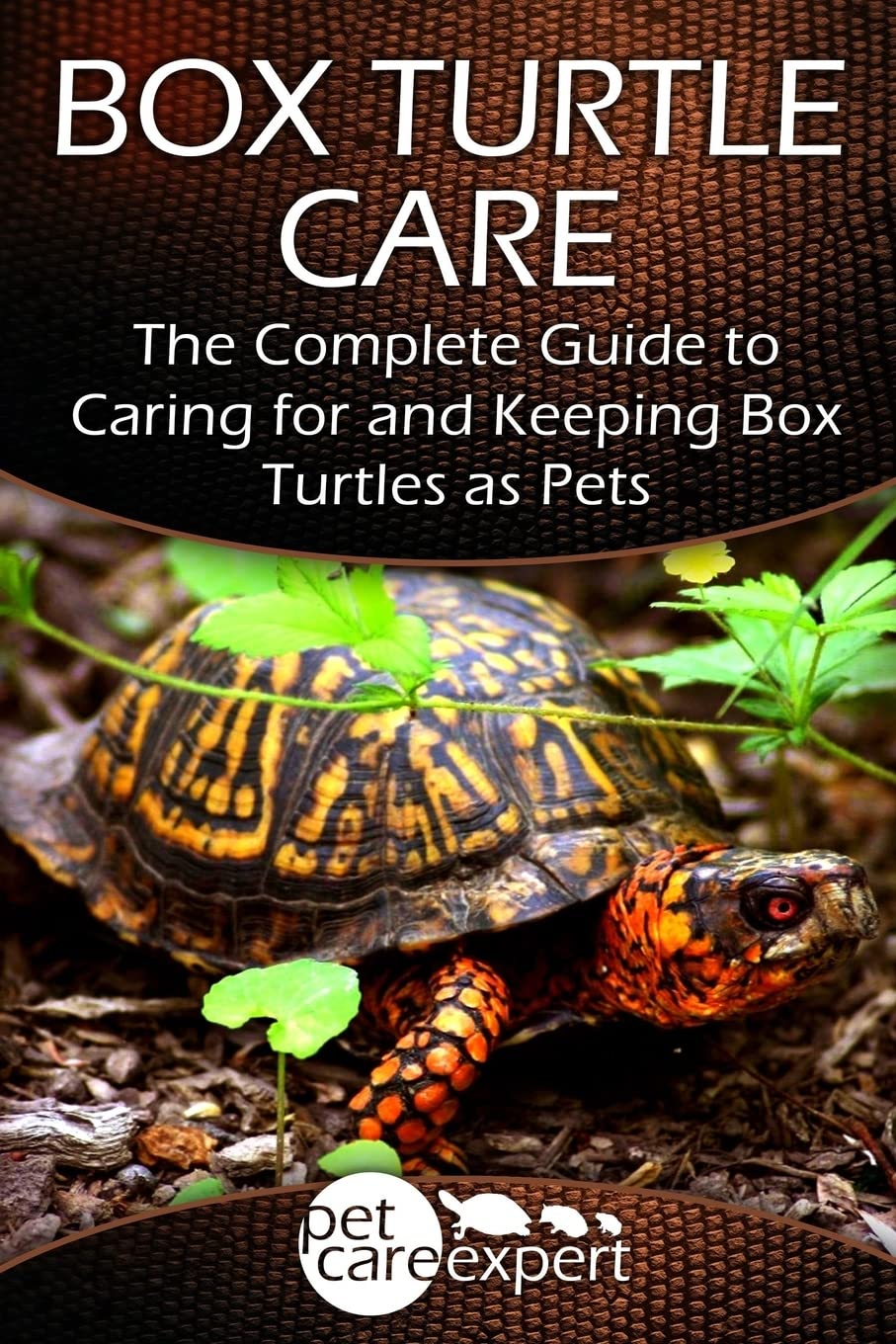 **Box Turtle Care Guide: Expert Tips for Keeping Box Turtles as Healthy Pets – Perfect for Beginners & Reptile Enthusiasts**    *(Use Cases: Ideal for pet owners, reptile hobbyists, and educators looking for reliable box turtle care advice.)*