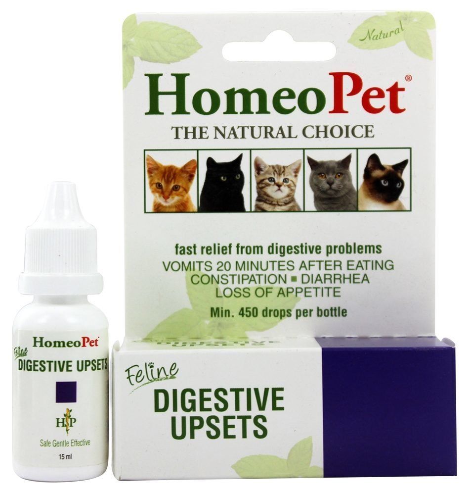 Natural Dog Digestive Supplement for Upset Stomach Relief - Probiotics & Enzymes for Dogs - Helps with Diarrhea, Gas & Bloating - Perfect for Sensitive Stomachs & Digestive Support After Meals or Travel