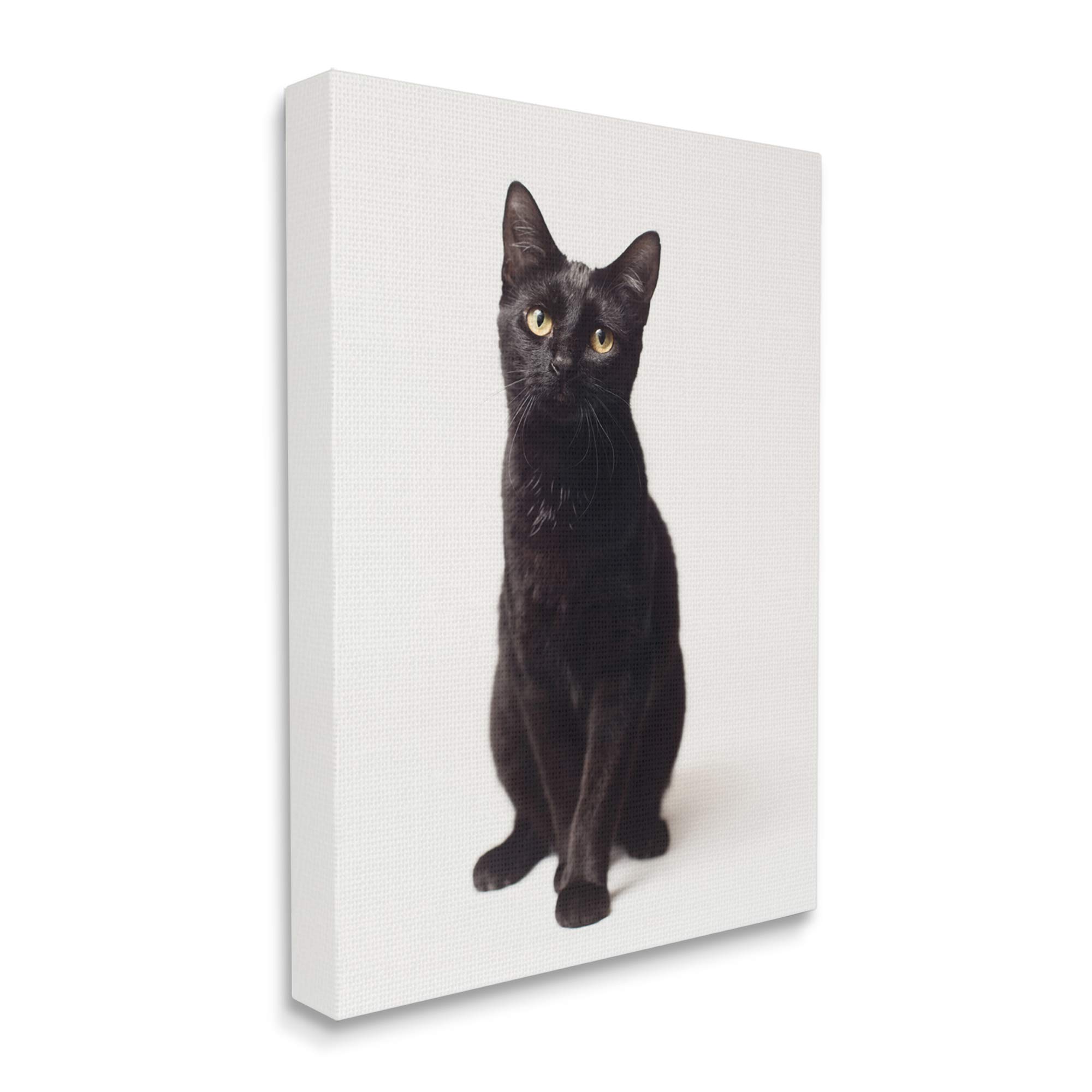 Stupell Industries Cute Black Cat with Expressive Eyes Pet Portrait Wall Art - Designed by Marika Moffit, 36x48 Inch Gallery Wrapped Canvas - Perfect for Living Room, Bedroom & Pet Lovers Home Decor