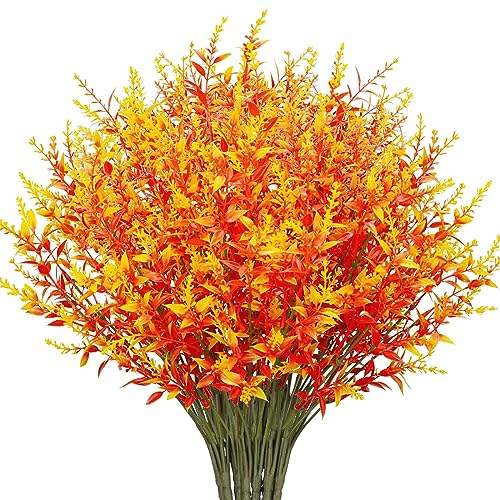 Autumn Orange