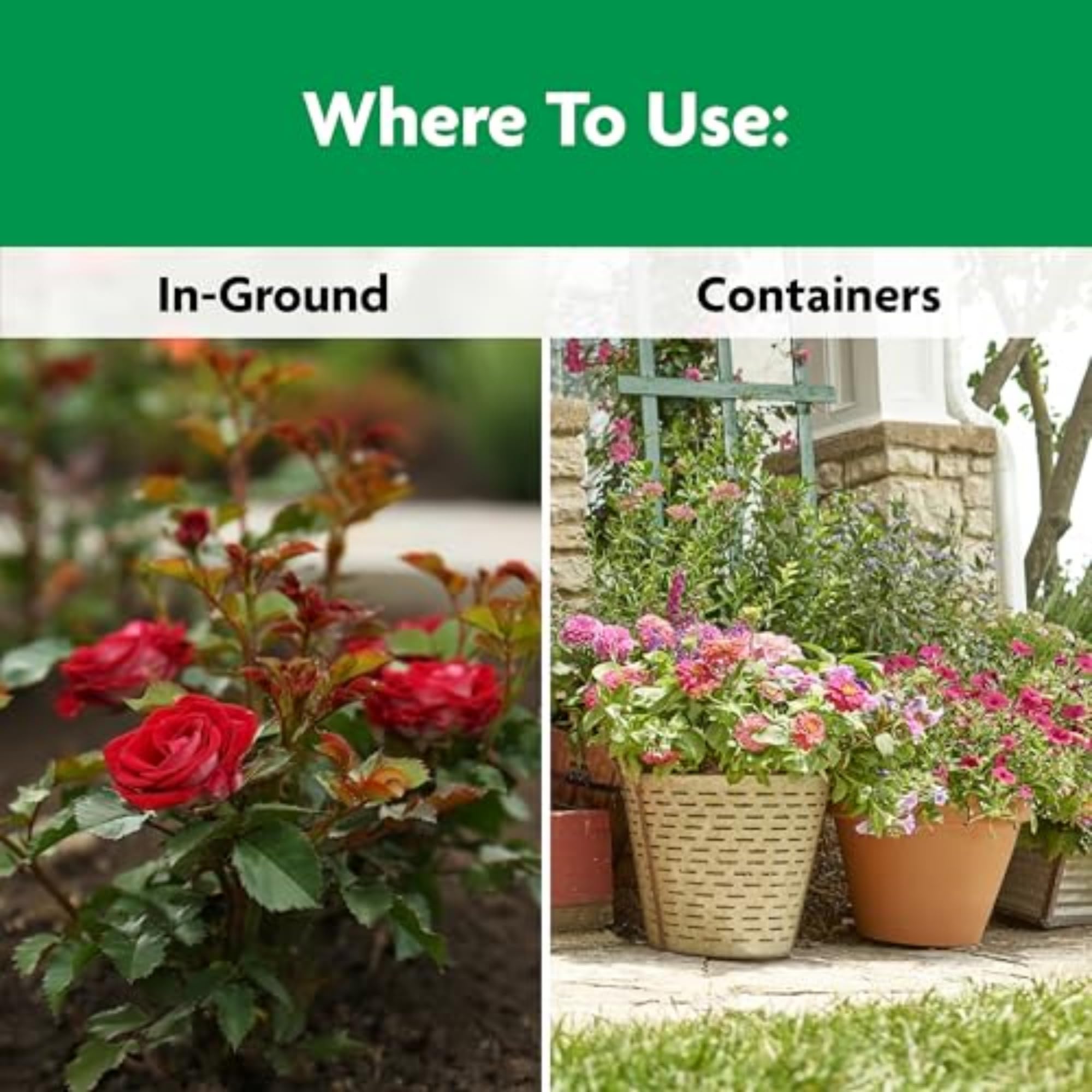 Miracle-Gro Shake 'N Feed Rose & Bloom Plant Food - All Purpose Flower Fertilizer for Roses, Flowers & Shrubs - Perfect for Garden Beds, Potted Plants & Outdoor Landscaping