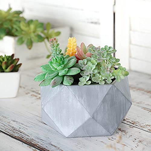 Geometric Gray 4-inch Concrete Flower Pot - Mini Planter for Succulents, Herbs & Small Plants | Wedding Centerpiece, Party Decor & Home Decoration | Perfect for Indoor Tabletop, Office Desk & Garden Decor