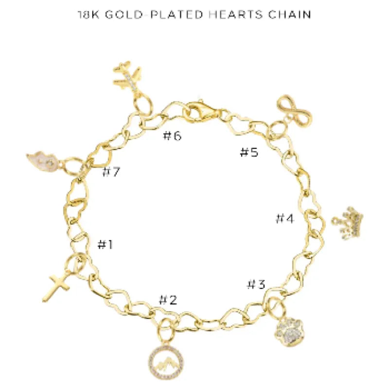 Elegant Charm Bracelet with Assorted Charms - Perfect for Gifts, Parties & Everyday Wear | $46.00