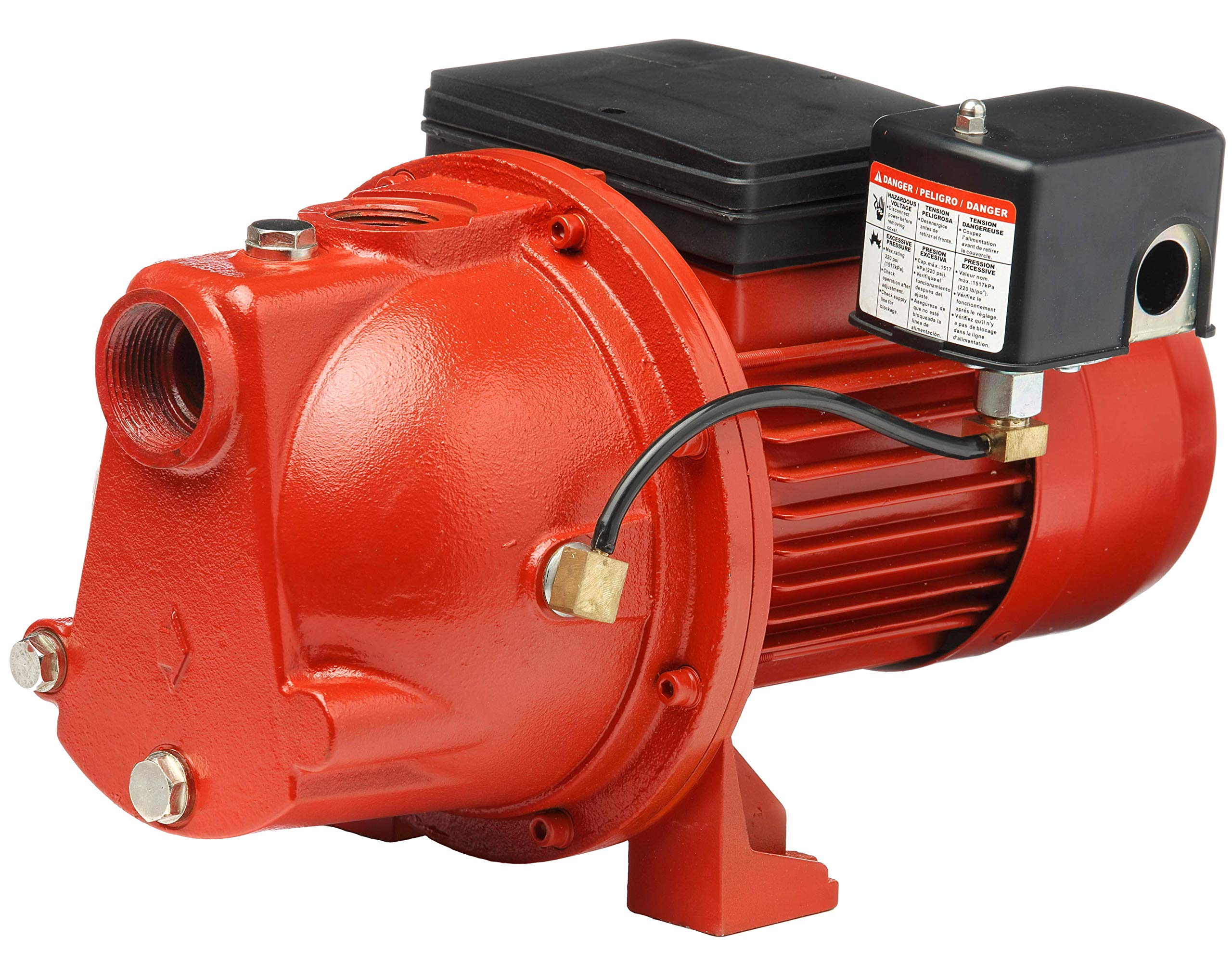 Red Lion RL-SWJ100 1 HP Cast Iron Shallow Well Jet Pump - 17 GPM, Dual Voltage (115V/230V) - Ideal for Home Water Supply, Irrigation & Farm Use - Model 97081001