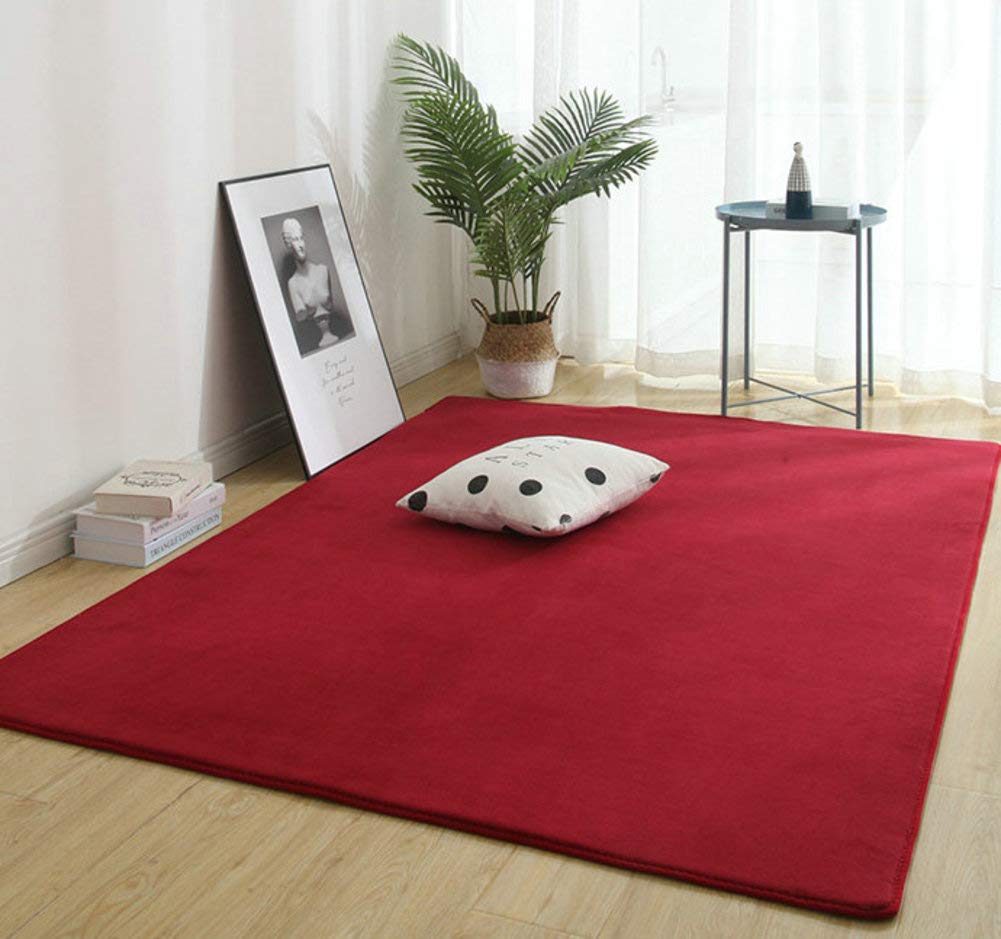 Soft Coral Velvet Baby Play Mat - 63x91in Nursery Rug for Toddlers & Kids - Perfect for Crawling & Playtime