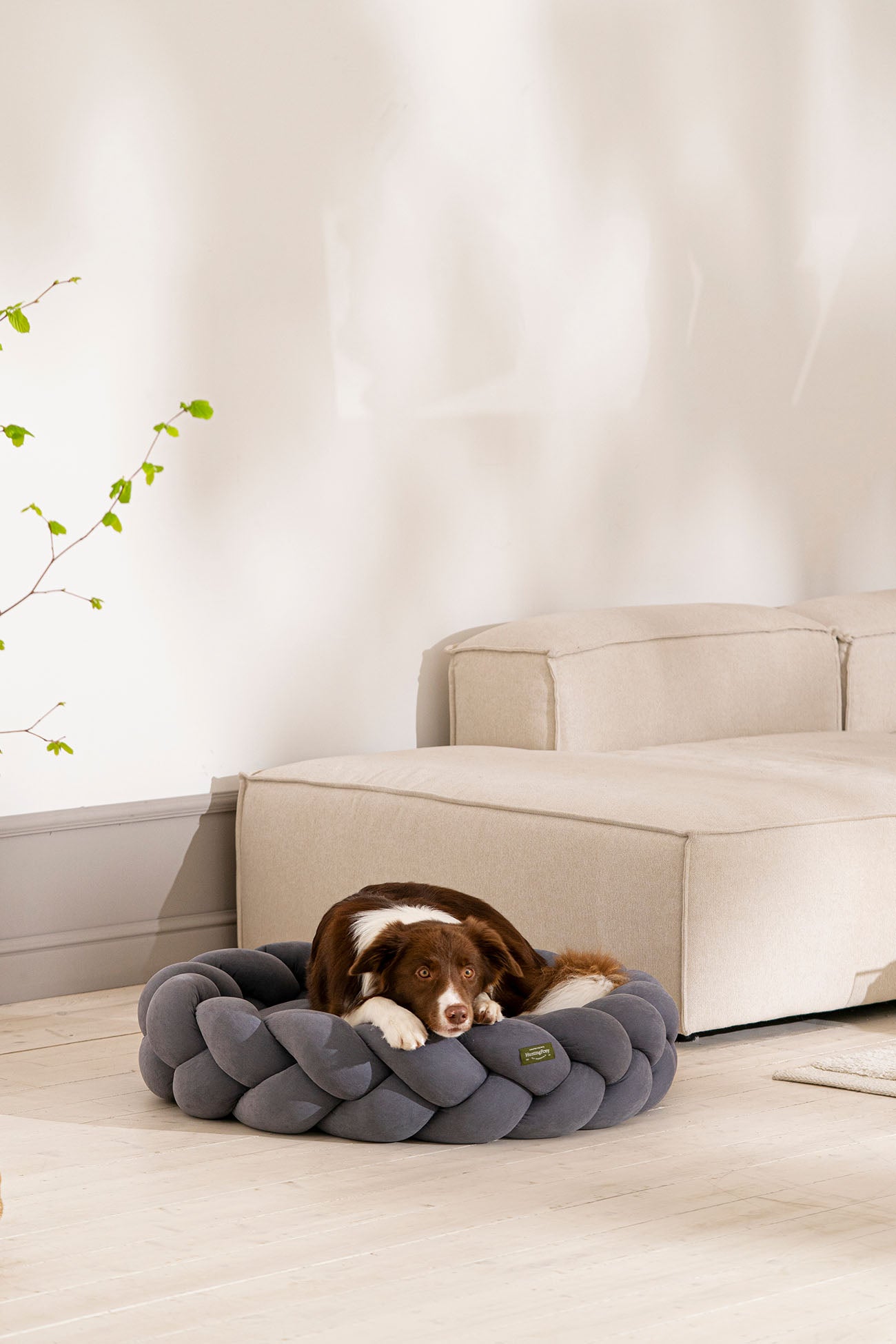 Premium Orthopedic Dog Bed for Large Dogs - Pony Kolosony Dark Gray - Waterproof & Chew-Resistant - Ideal for Home, Crate, or Travel Use