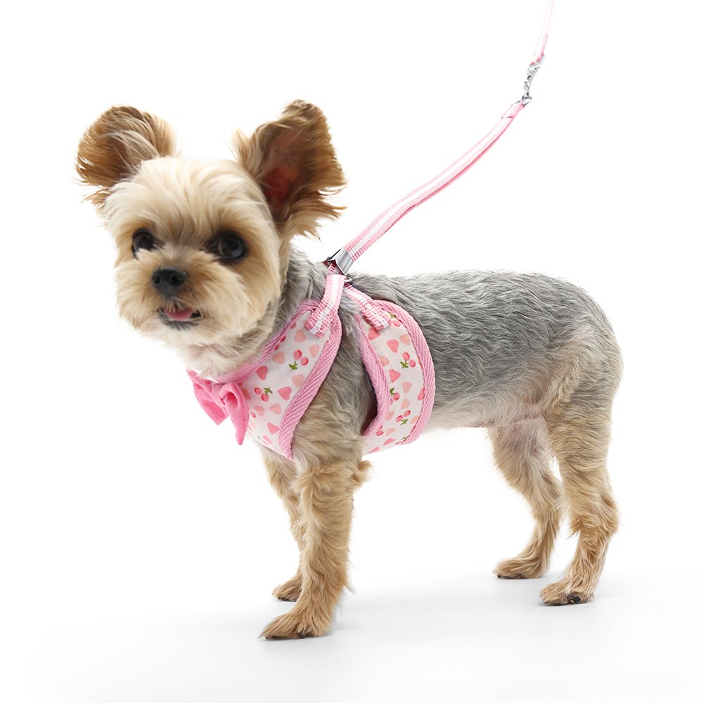 EasyGO Cherish Heart Harness - Adjustable No-Pull Dog Harness for Small & Medium Dogs - Perfect for Walking, Training & Outdoor Adventures