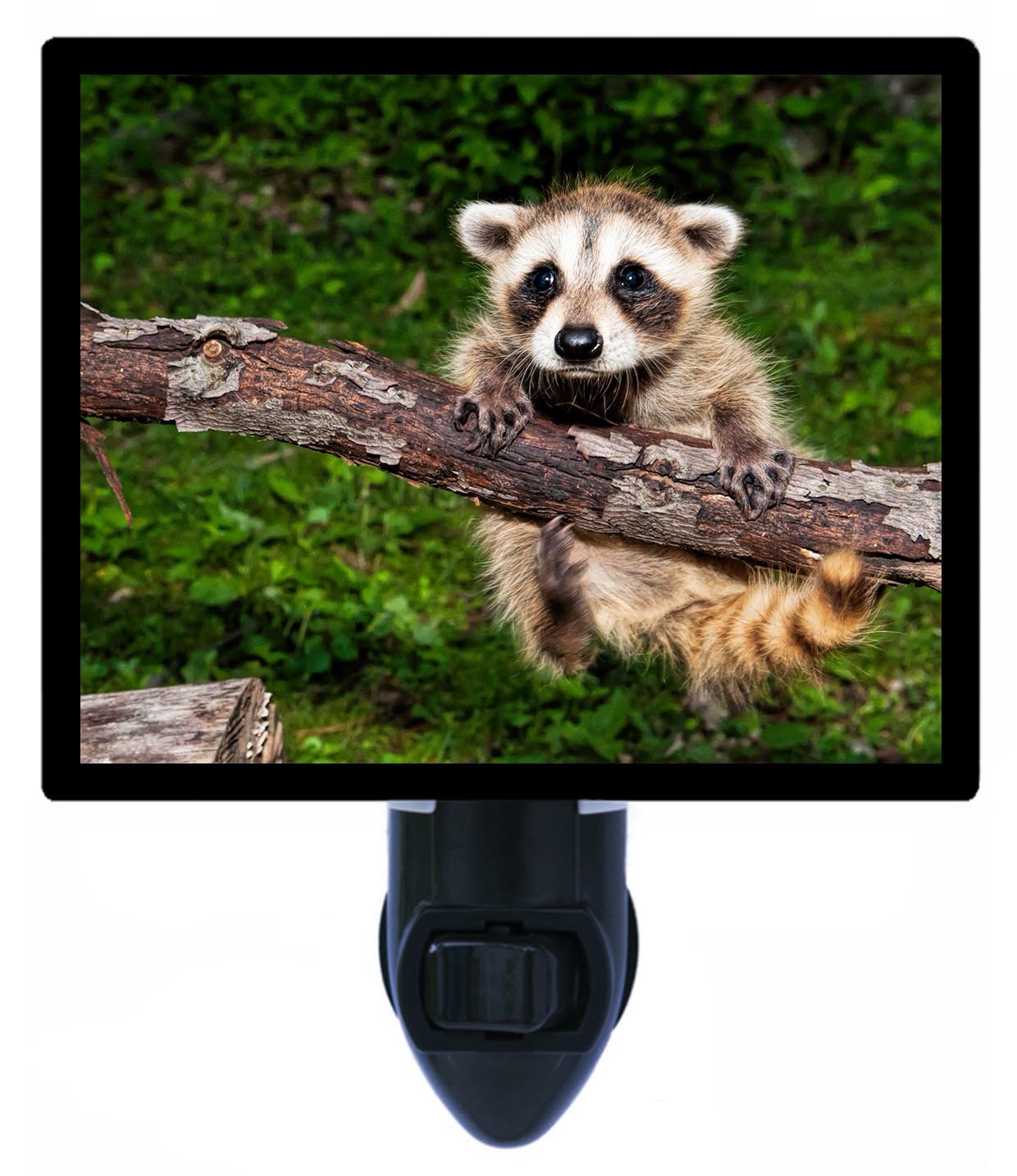 Cute Baby Raccoon LED Night Light for Kids & Nursery - Soft Glow Nightlight for Bedroom, Baby Room, Hallway - Perfect for Nighttime Feeding, Soothing Children, and Safe Navigation