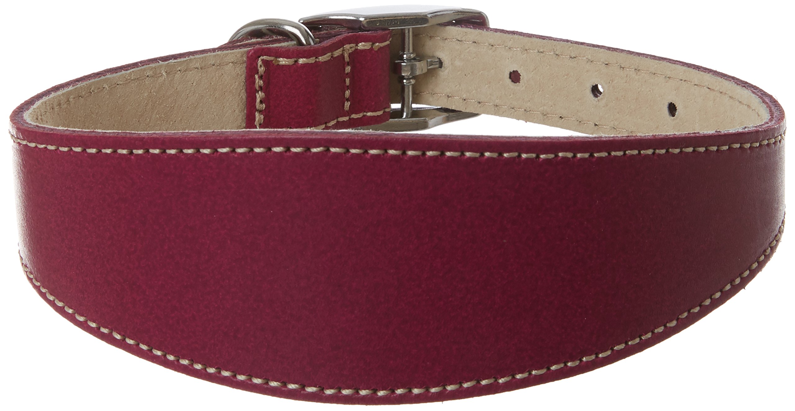 Premium Greyhound Deluxe Collar - Boysenberry Color | Adjustable & Comfortable Dog Collar for Large Breeds | Perfect for Training, Walks & Outdoor Adventures