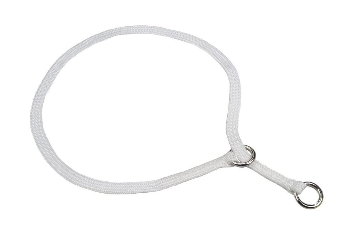 Show Slip Collar - Adjustable Conformation Dog Collar for Small to Large Breeds - Premium Show Dog Collar for Training & Competitions - Perfect for Dog Shows, Obedience Training & Daily Walks