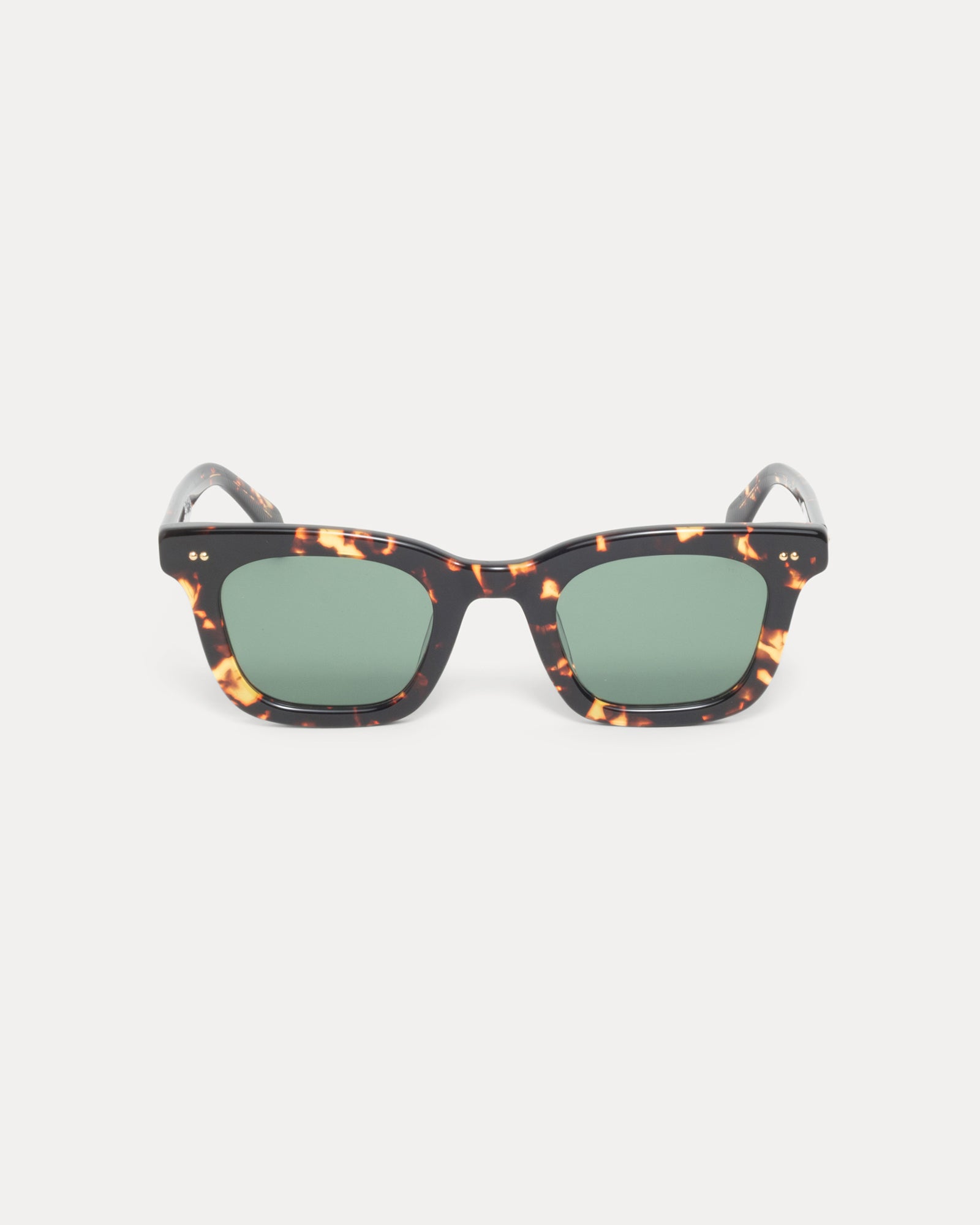 Tortoise/Dark Green Lens