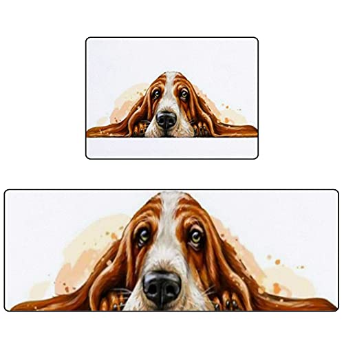 Dog Basset Hound