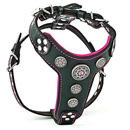 Black & Pink