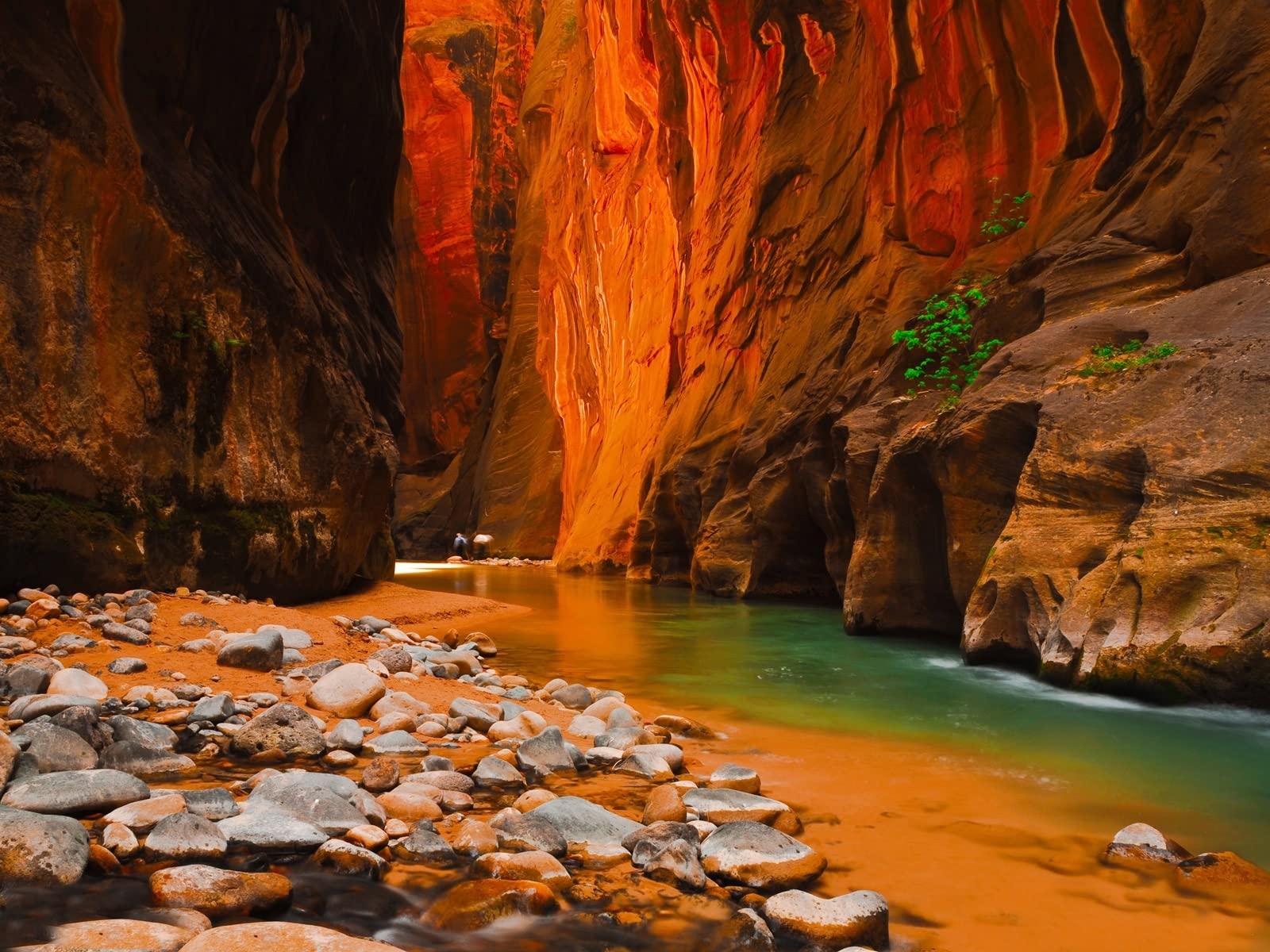 500-Piece Zion National Park Jigsaw Puzzle - Adult & Kids Puzzle Game for Home Decor & Gifts