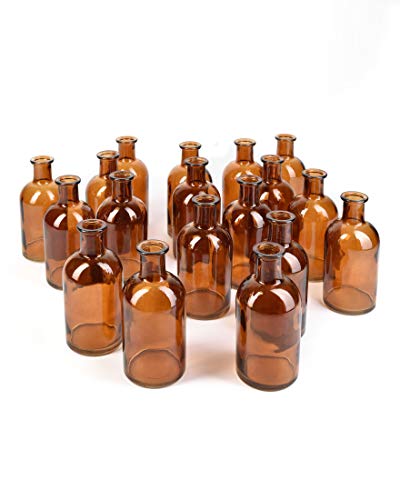 Amber, Set of 48