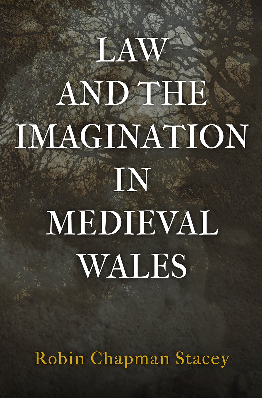 Law and the Imagination in Medieval Wales - The Middle Ages Series Book | Historical Legal Studies, Medieval Literature & Welsh Culture | Perfect for Scholars, Students & History Enthusiasts