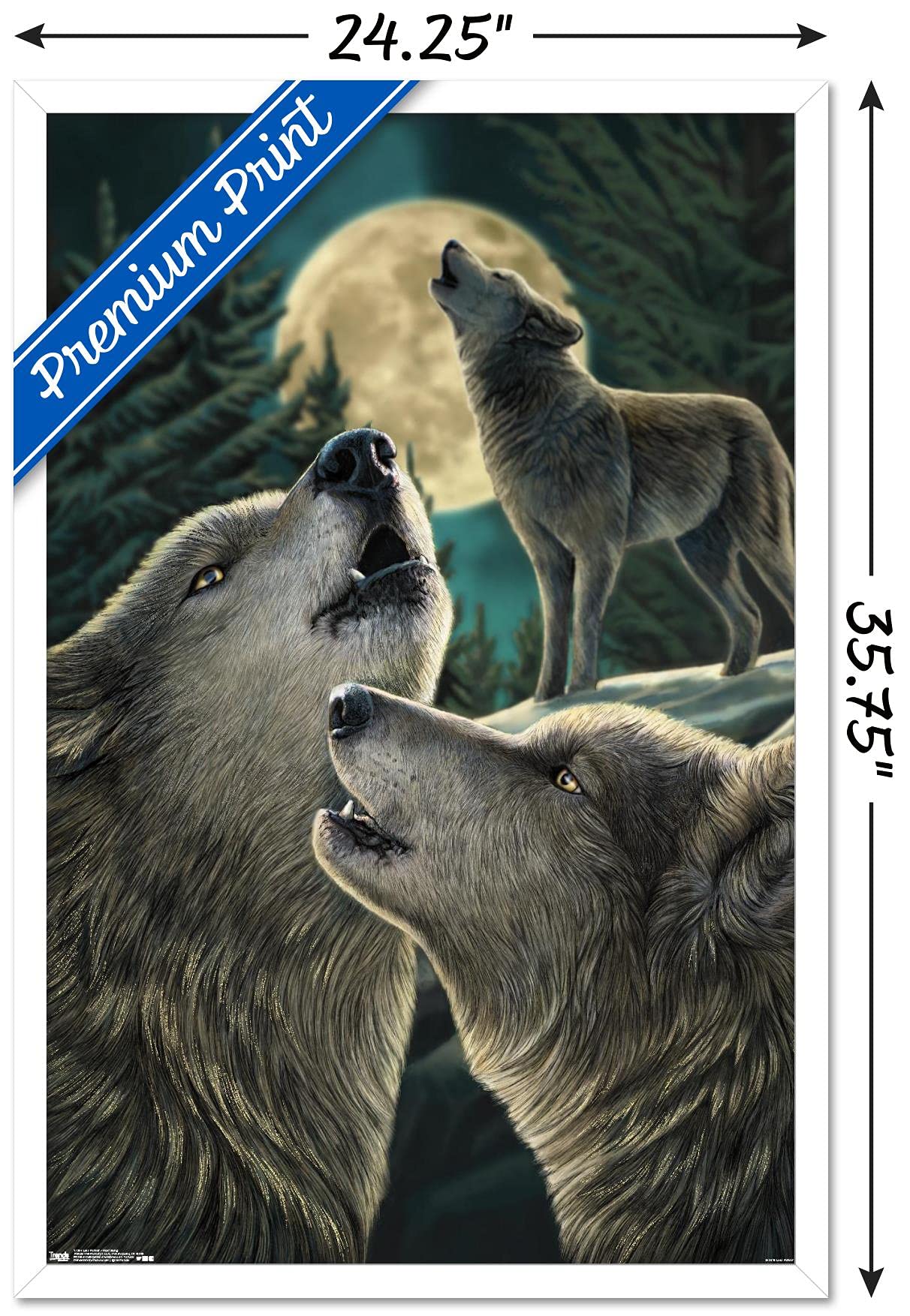 Trends International Lisa Parker Wolf Song Framed Wall Art Poster - 22.375 x 34 Inches, White Frame - Perfect for Home Decor, Living Room, Bedroom & Office Wall Art
