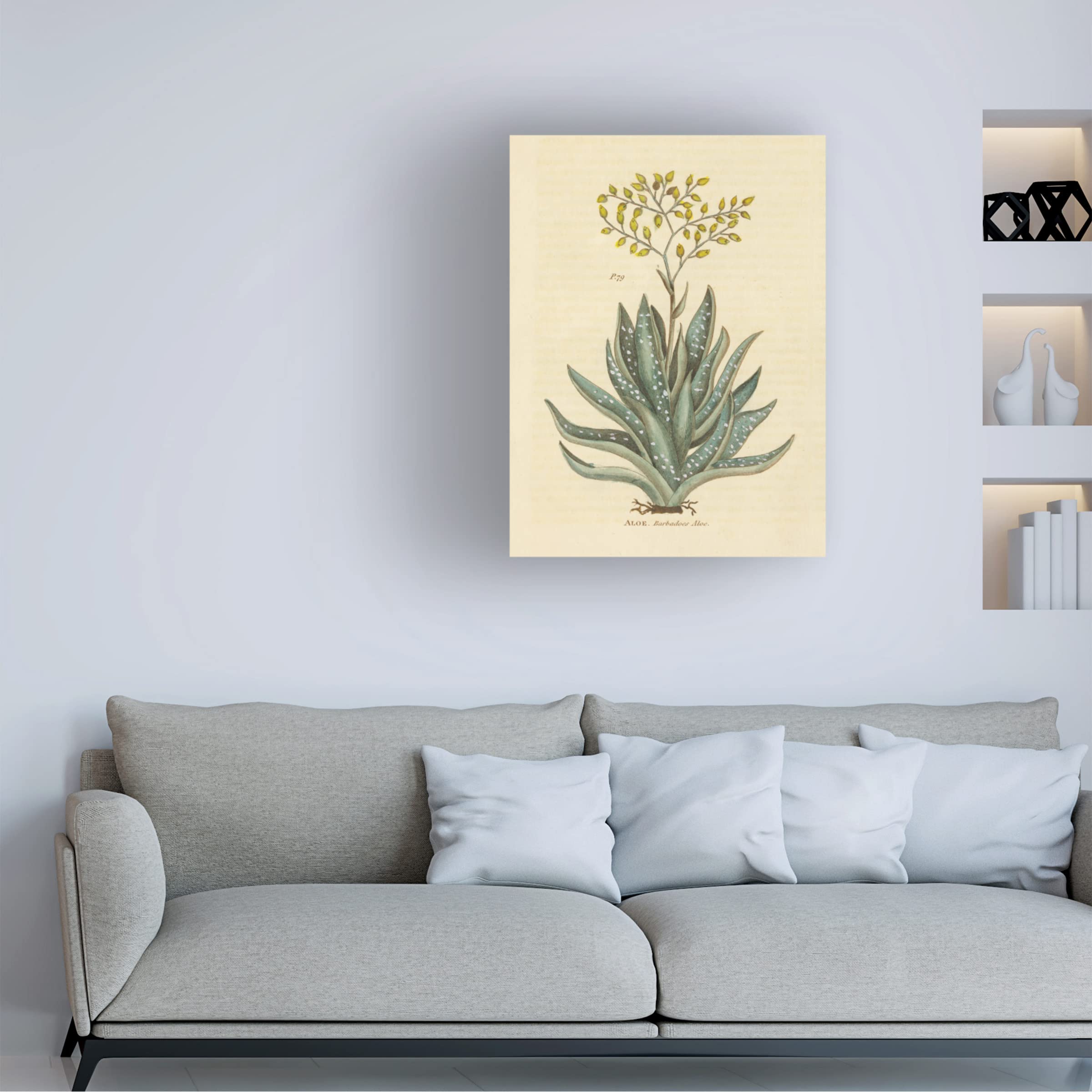 Trademark Fine Art 'Herbal Botanical XXXI' Canvas Wall Art Print by Wild Apple Portfolio - Perfect for Living Room, Bedroom & Office Decor