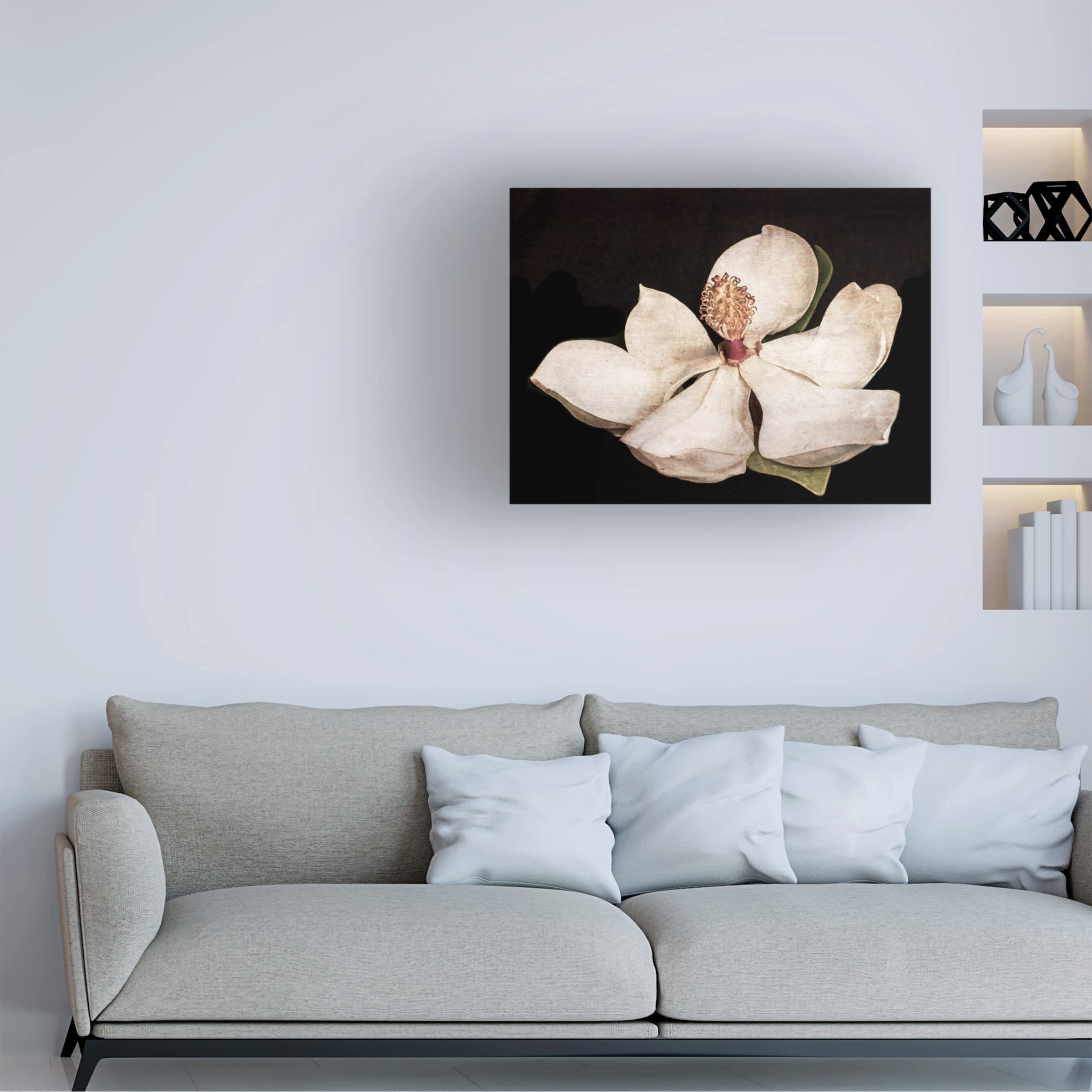Trademark Fine Art 'Magnolia 2' Floral Canvas Wall Art by Lori Hutchison - Perfect for Living Room, Bedroom & Office Decor
