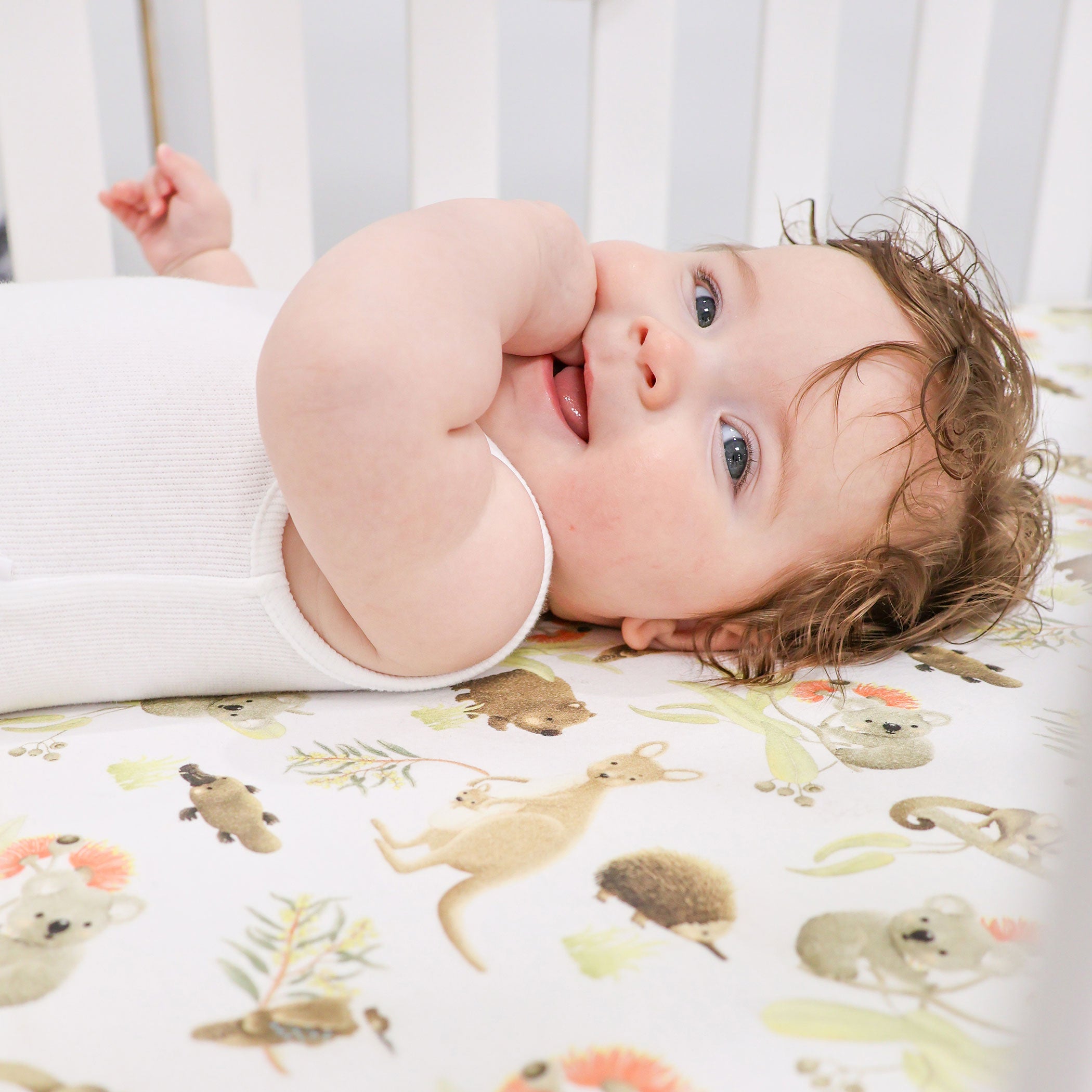 Australian Animals Jersey Cot Fitted Sheet - Soft Baby Crib Sheets with Kangaroo & Koala Prints - Perfect for Nursery, Daycare & Gift Giving