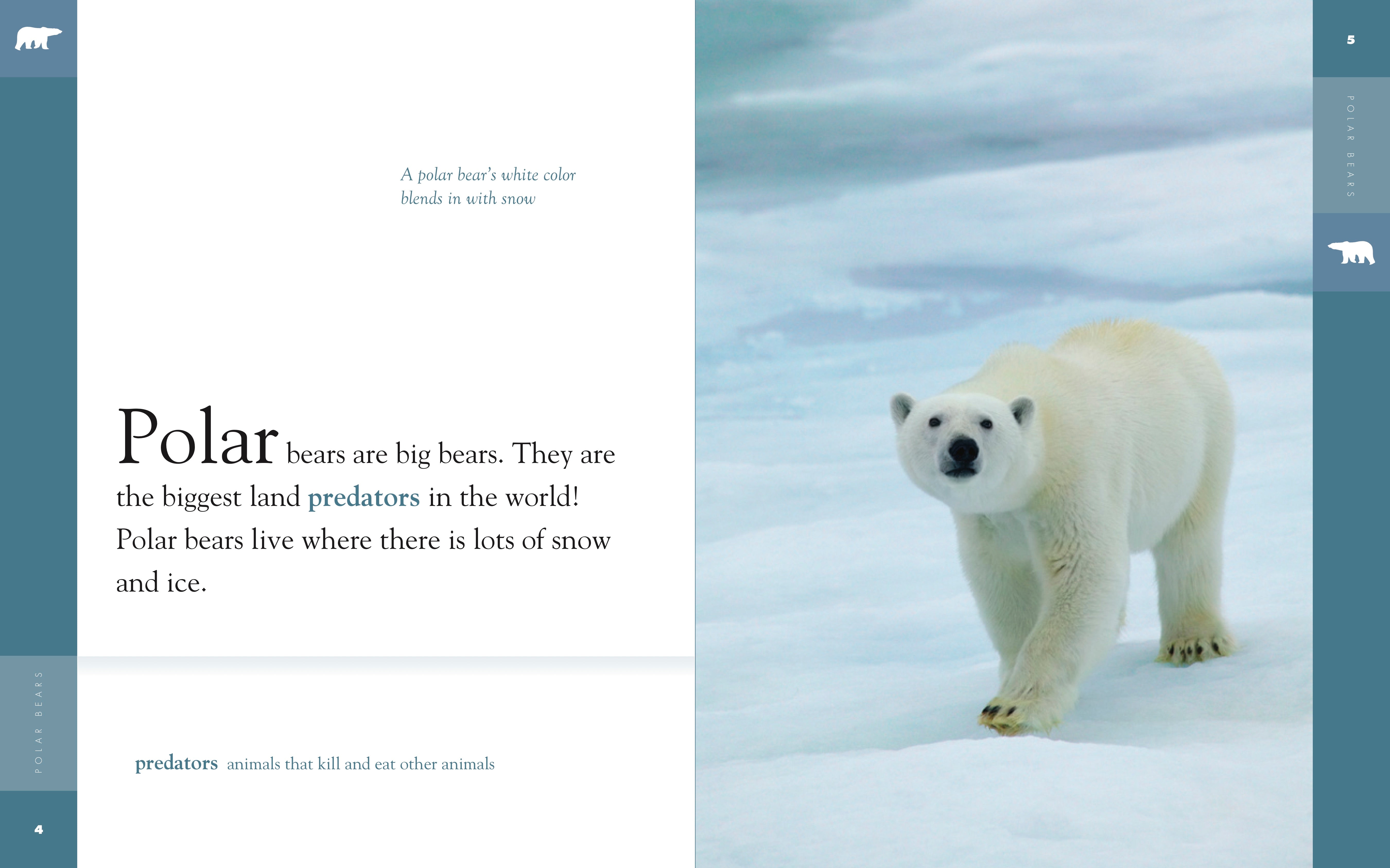 Amazing Animals (2014) Polar Bears - Wildlife Documentary Film | HD Nature Videos for Education & Entertainment