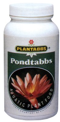 1000ct Bulk Pondtabbs Chlorine Tablets for Swimming Pools - Long-Lasting Water Treatment & Maintenance (Ideal for Inground & Above Ground Pools)