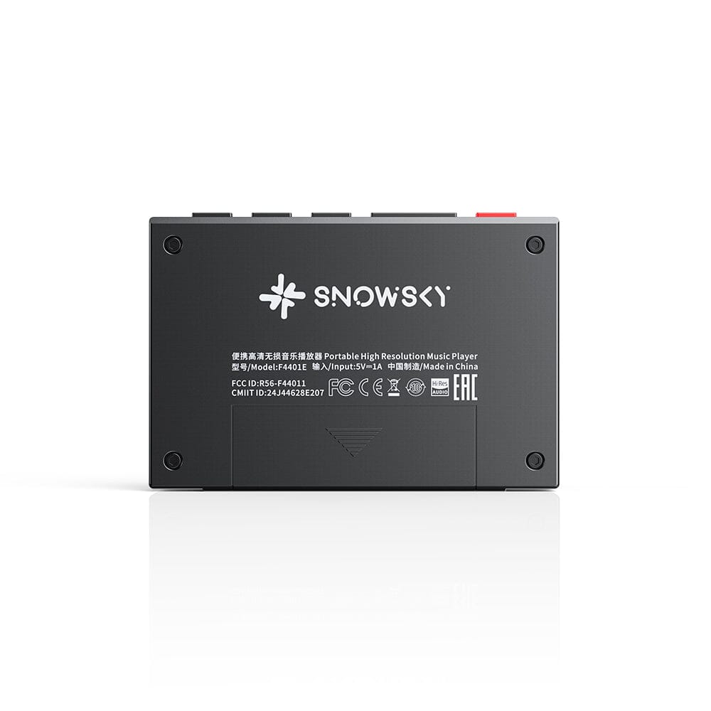 FiiO SNOWSKY Echo Mini Portable HiFi MP3 Music Player with Bluetooth 5.0 - Perfect for Travel, Gym & Outdoor Activities