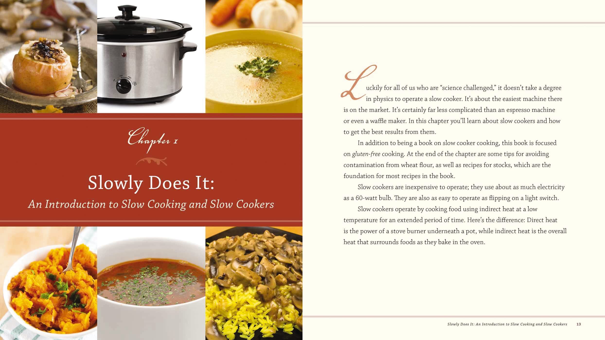 250+ Gluten-Free Slow Cooker Recipes - Wheat-Free Meals for Electric Crock Pot | Easy & Healthy Dinner Ideas for Busy Families