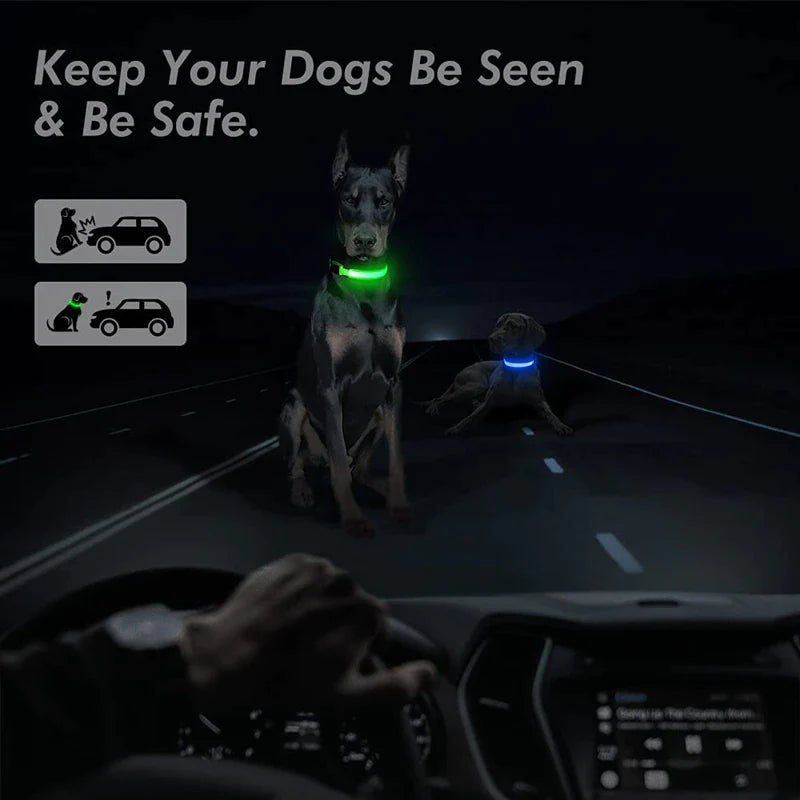 Waterproof LED Adjustable Dog Collar with Blinking & Flashing Lights - Glow Pet Safety Collar for Night Walks, Jogging & Outdoor Adventures