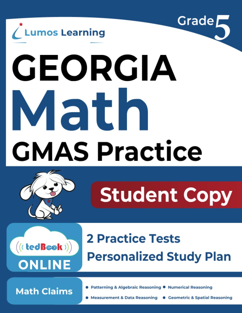 5th Grade Math Practice Workbook & GMAS Study Guide - Online Assessments & Student Copy for Georgia Milestones Test Prep | Classroom & Homeschool Learning