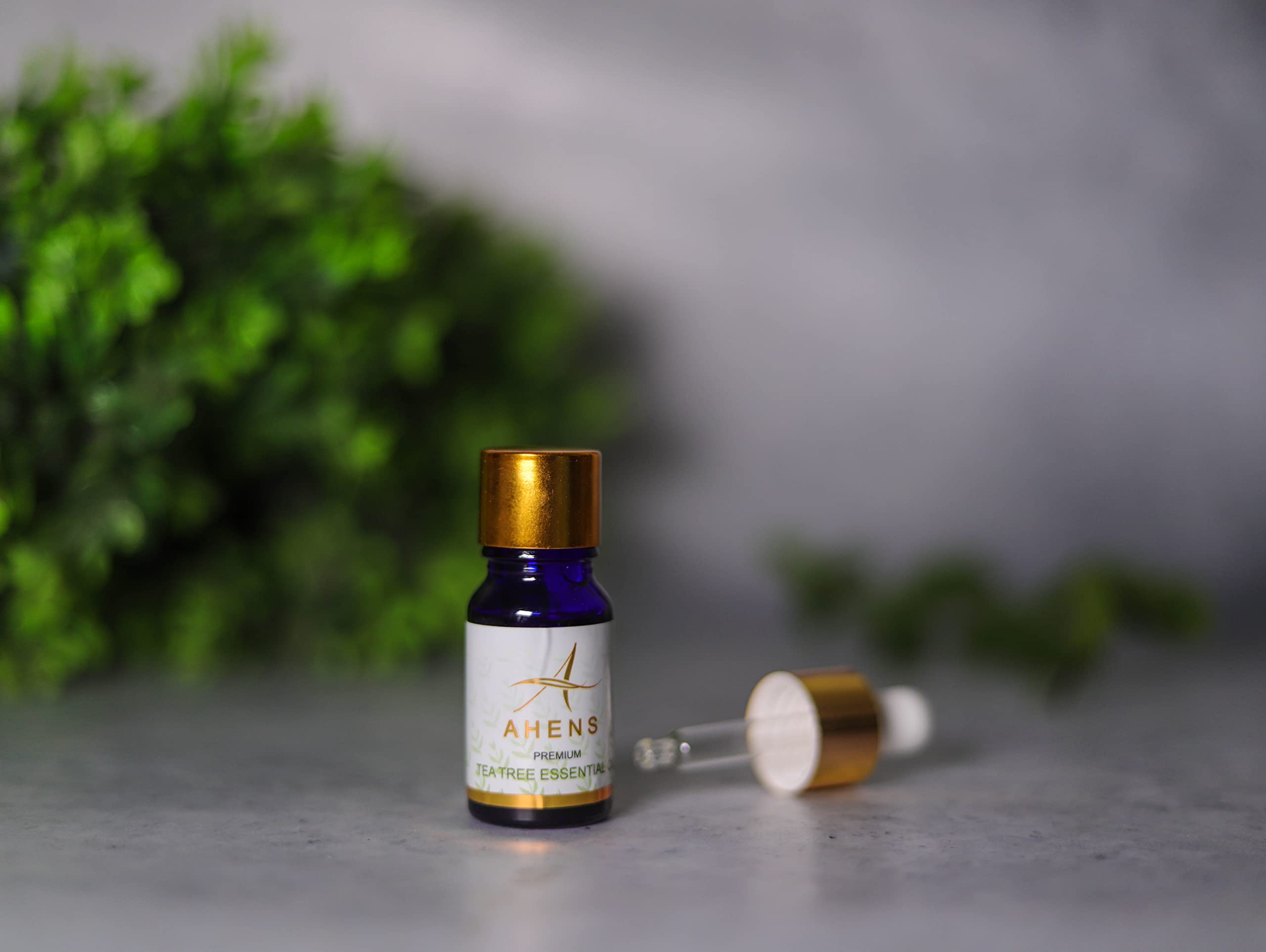 Pure Tea Tree Essential Oil for Skin, Hair & Nails - 100% Natural Australian Melaleuca Oil for Acne, Fungus & Scalp Care - Aromatherapy Diffuser & DIY Beauty Uses