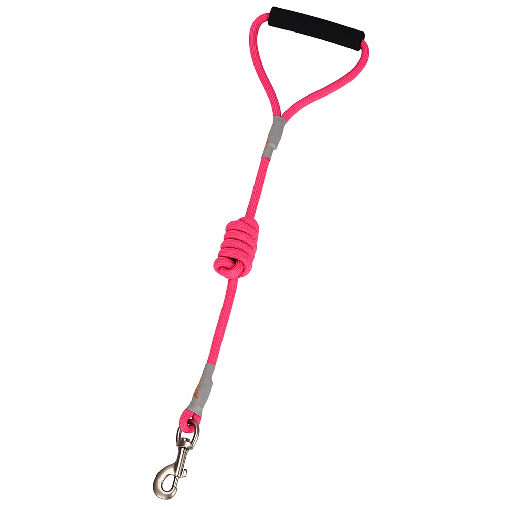 Premium Dog Harness and Leash Set for Small, Medium & Large Dogs - Adjustable No-Pull Pet Harness with D-Ring - Comfortable Training Walking Gear for Puppies & Adult Dogs - Perfect for Outdoor Adventures, Hiking & Daily Walks
