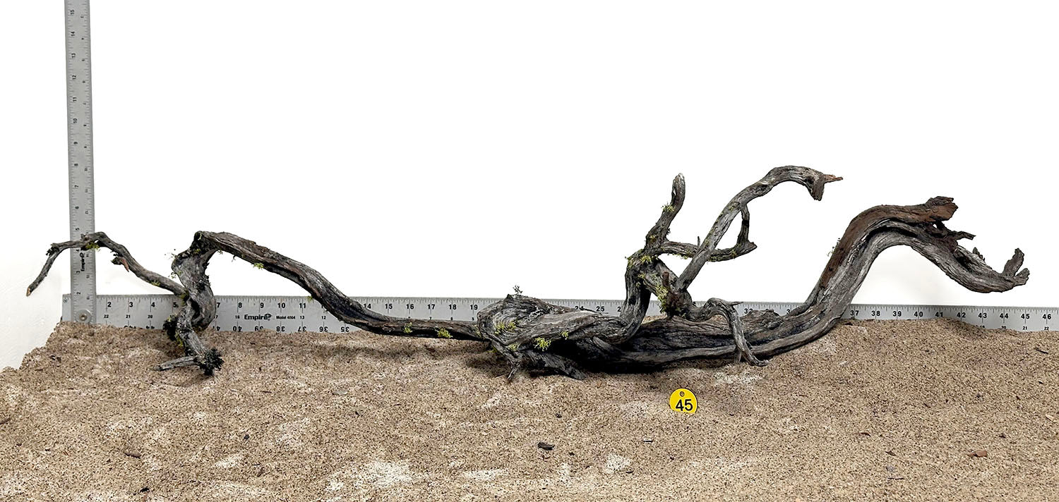 Natural Manzanita Wood Branch (XXL Size) - Perfect for Aquarium Decor, Reptile Habitats, and DIY Craft Projects