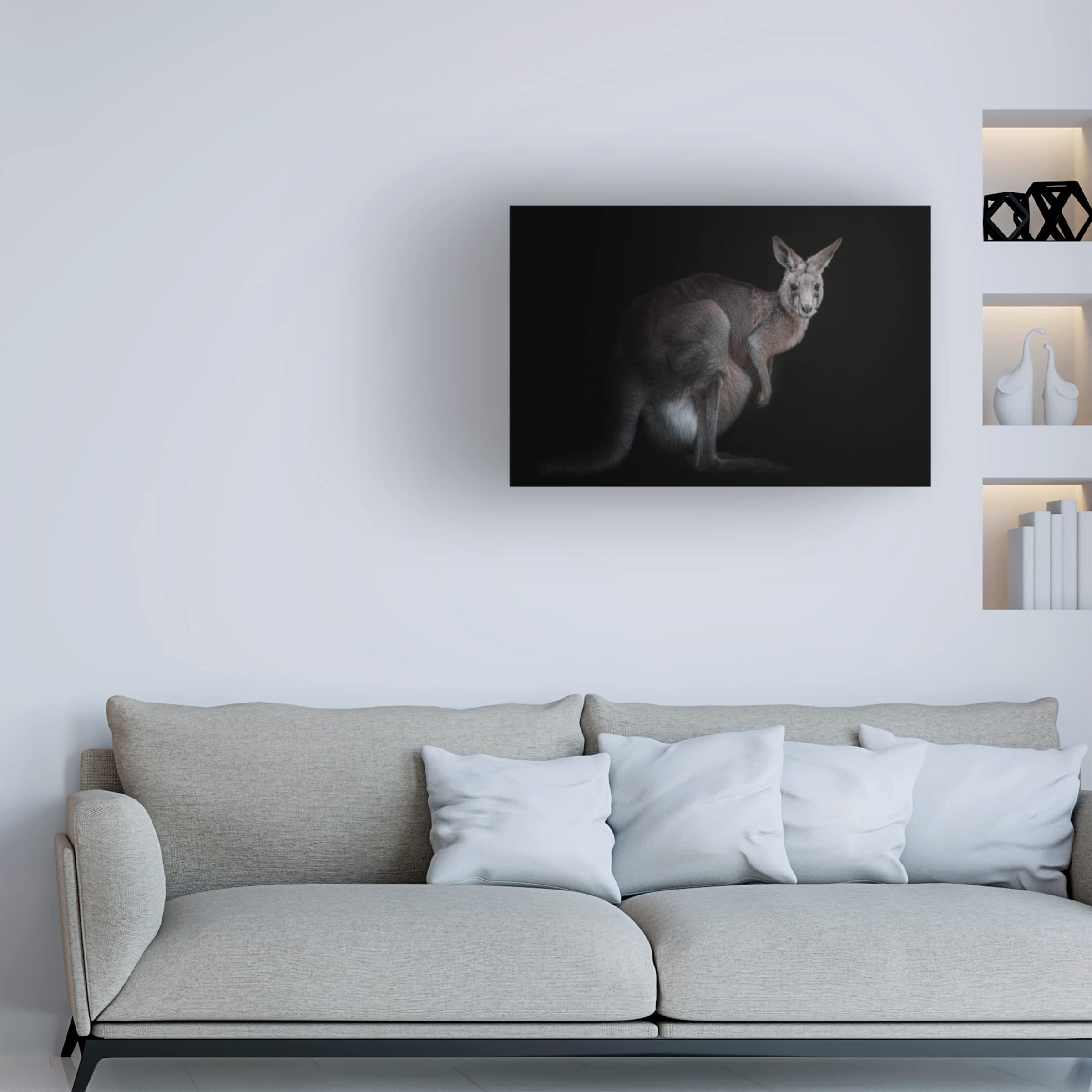 Trademark Fine Art 'Kangaroo' Canvas Wall Art Print by KaMerA - Perfect for Living Room, Bedroom & Office Decor