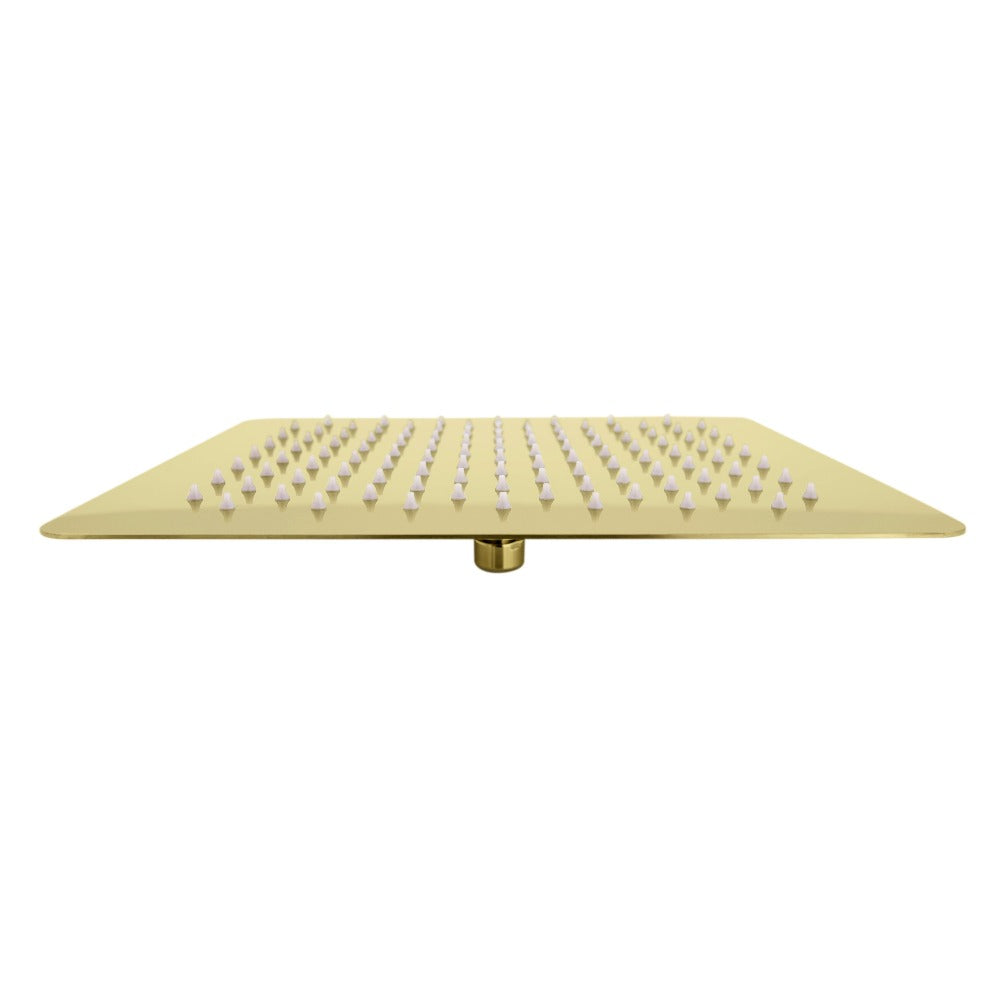 ZLINE Bliss 8 Inch Polished Gold Rainfall Shower Head - High Pressure Luxury Bathroom Fixture for Spa-Like Experience (BLS H8 PG) | Perfect for Master Bathrooms & Hotel Style Showers