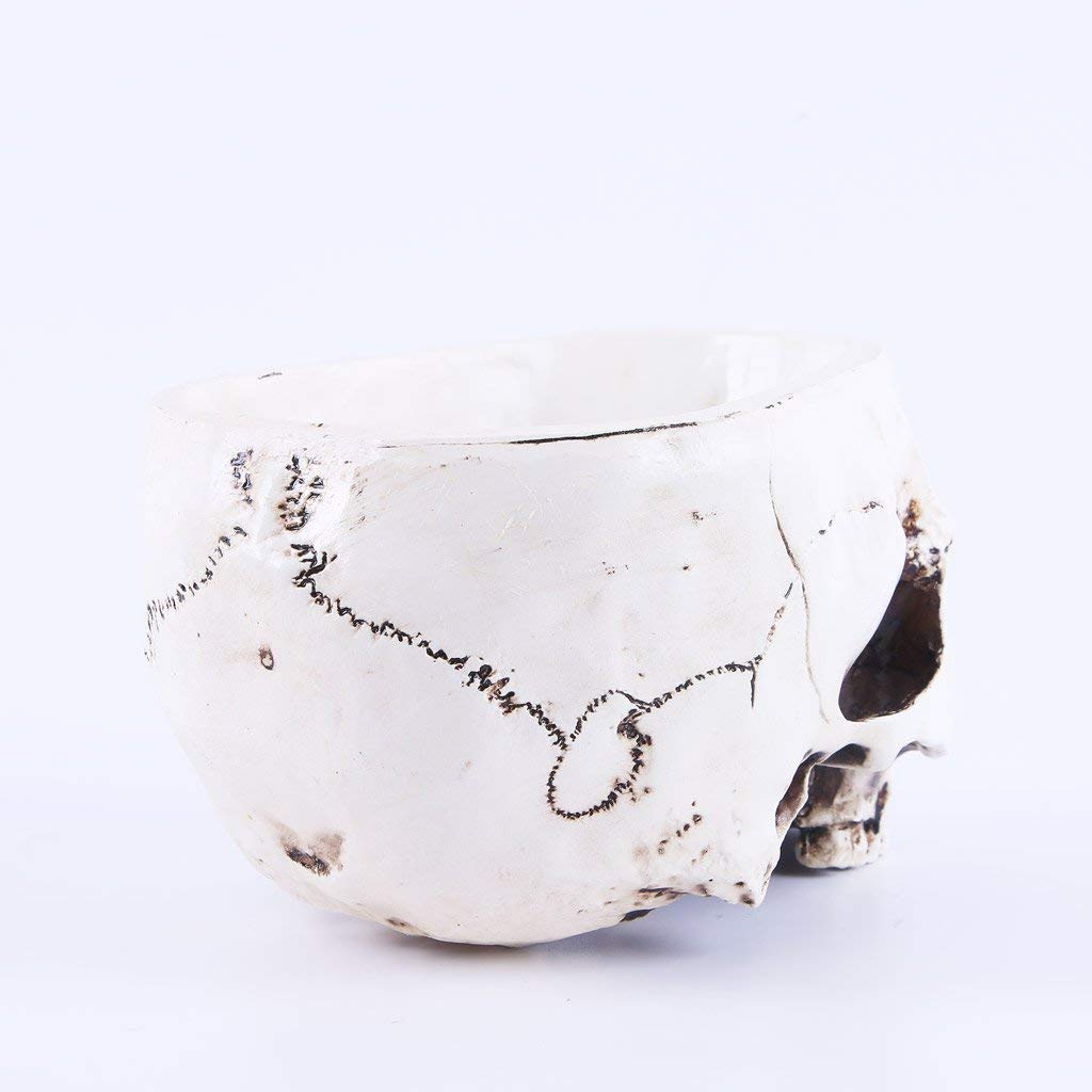 White Human Skull Shaped Flower Pot - Halloween Skeleton Planter Bowl for Tabletop Decor, Succulents & Home Garden