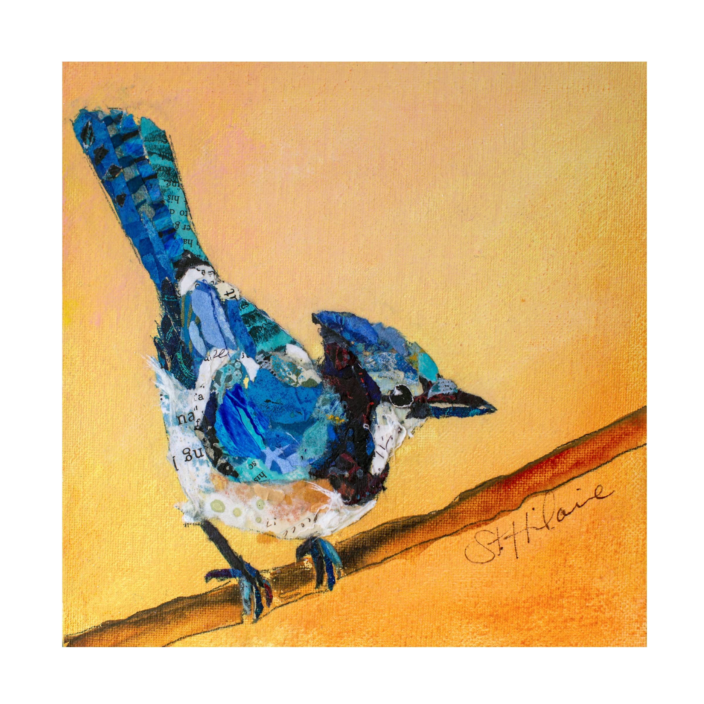 Blue Jay Blessing Canvas Art Print by Elizabeth St Hilaire | Trademark Fine Art | Hand-Painted Wildlife Home Decor for Living Room, Bedroom & Office Wall