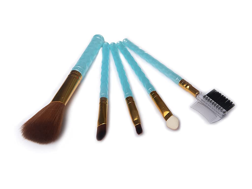 Professional 5-Piece Makeup Brush Set - Lip, Highlighter, Foundation, Eyeshadow & Eyebrow Brushes | Multi-Color Cosmetic Brush Kit for Flawless Makeup Application | Perfect for Daily Use, Travel & Professional Makeup Artists